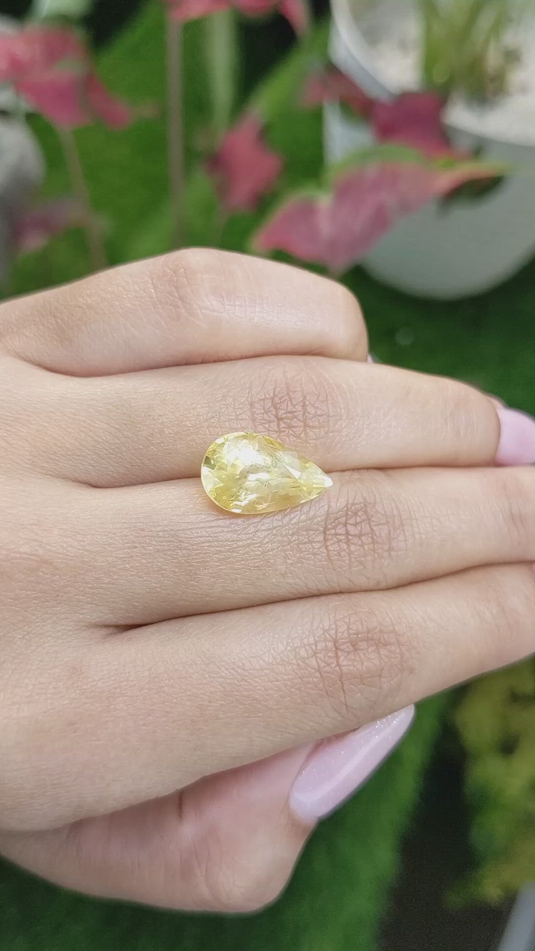 9.03 Ct. Yellow Sapphire from Ceylon (Sri Lanka) Size Video
