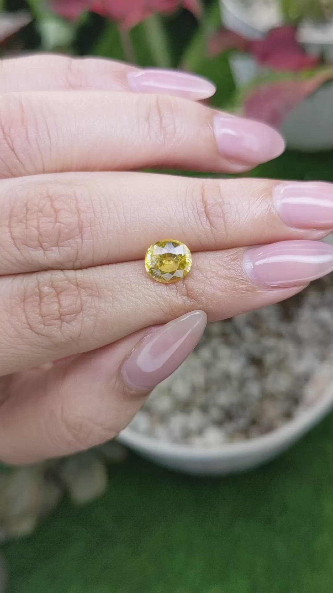2.10 Ct. Yellow Sapphire from Ceylon (Sri Lanka) Size Video