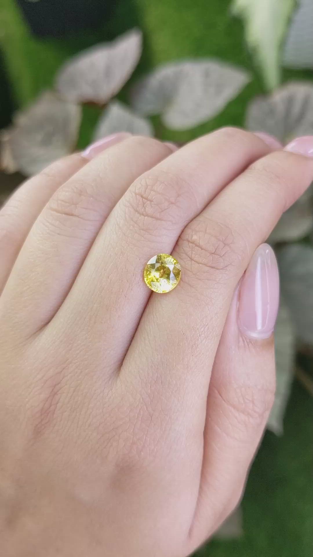 2.10 Ct. Yellow Sapphire from Ceylon (Sri Lanka) Size Video