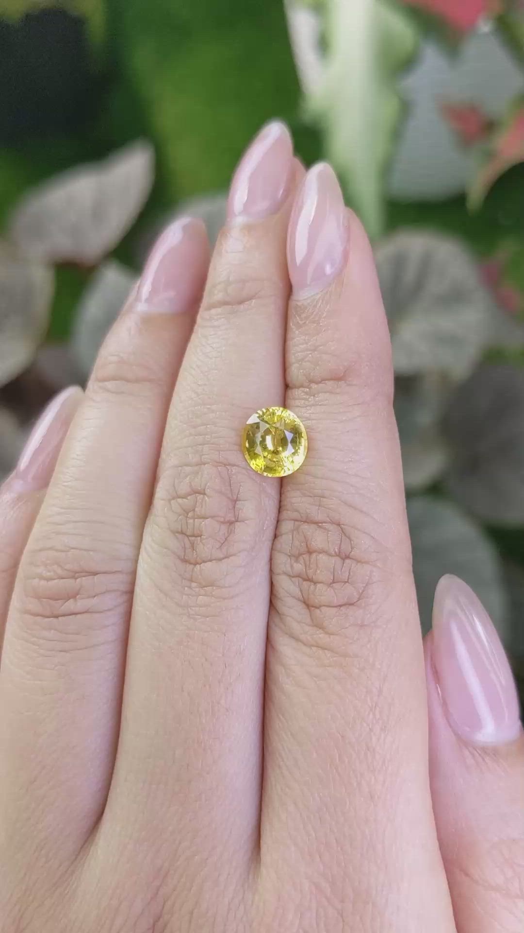 2.10 Ct. Yellow Sapphire from Ceylon (Sri Lanka) Size Video