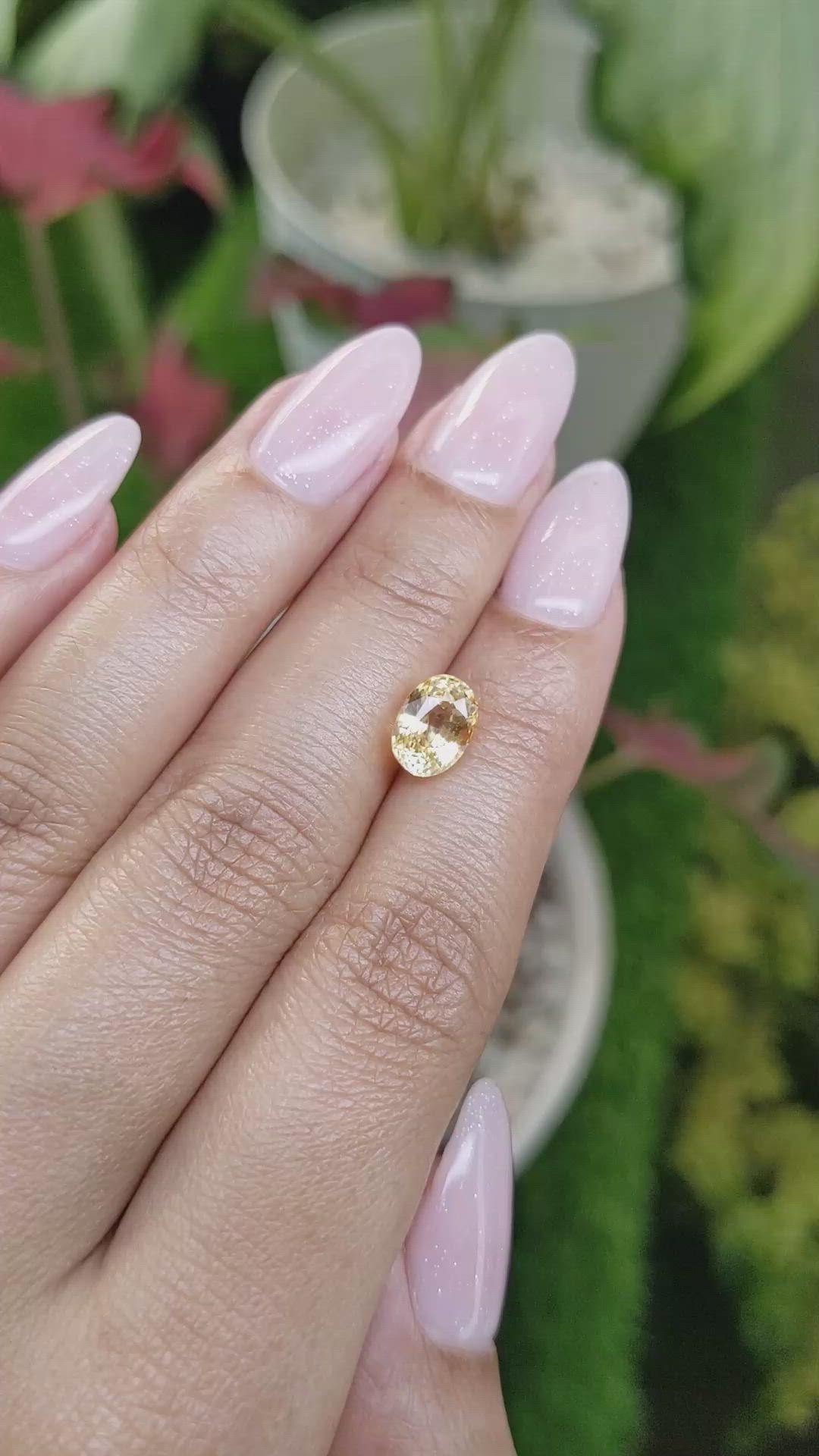 2.47 Ct. Orangish Yellow Sapphire from Ceylon (Sri Lanka) Size Video