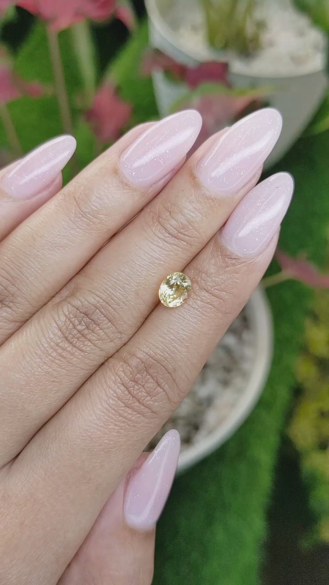 1.58 Ct. Yellow Sapphire from Ceylon (Sri Lanka) Size Video