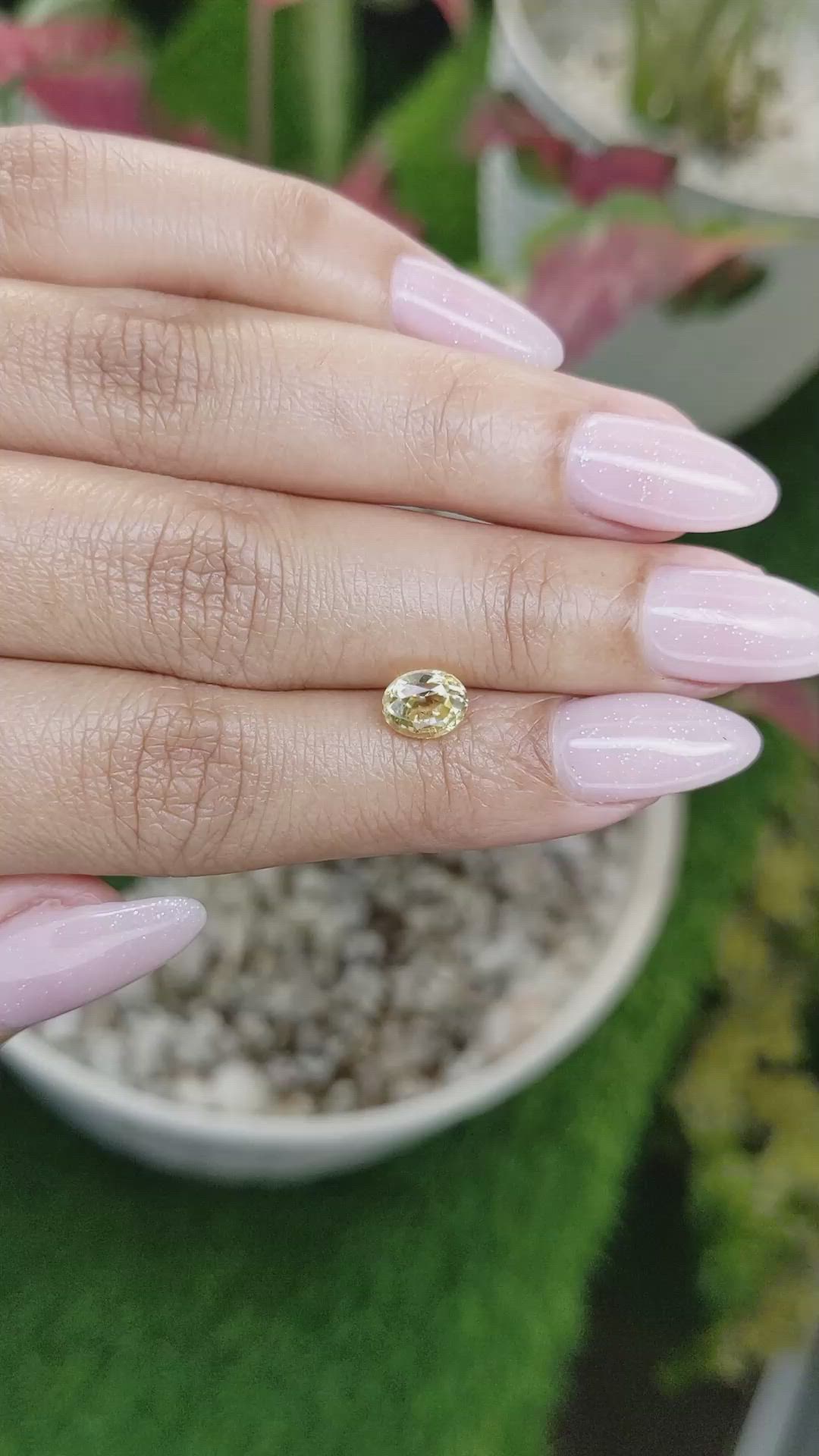 1.58 Ct. Yellow Sapphire from Ceylon (Sri Lanka) Size Video