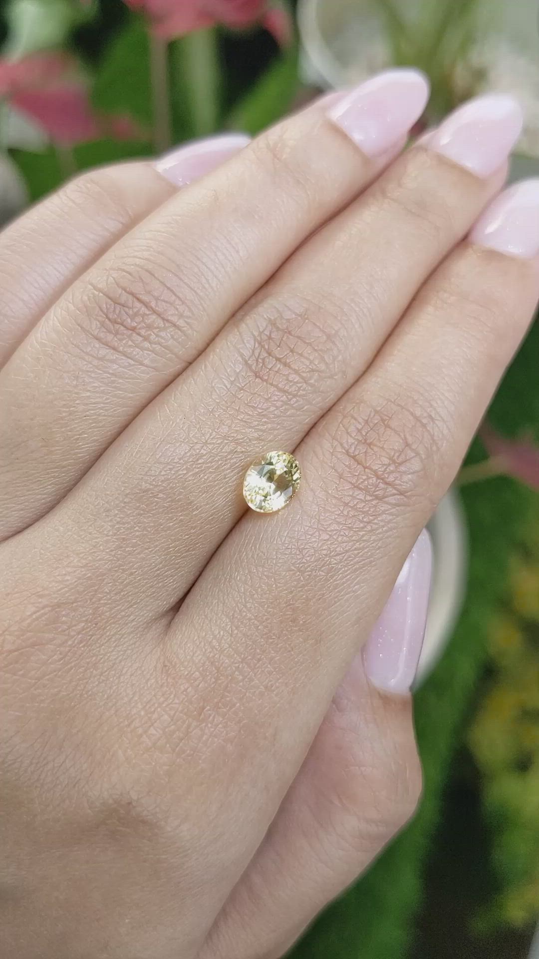 1.58 Ct. Yellow Sapphire from Ceylon (Sri Lanka) Size Video