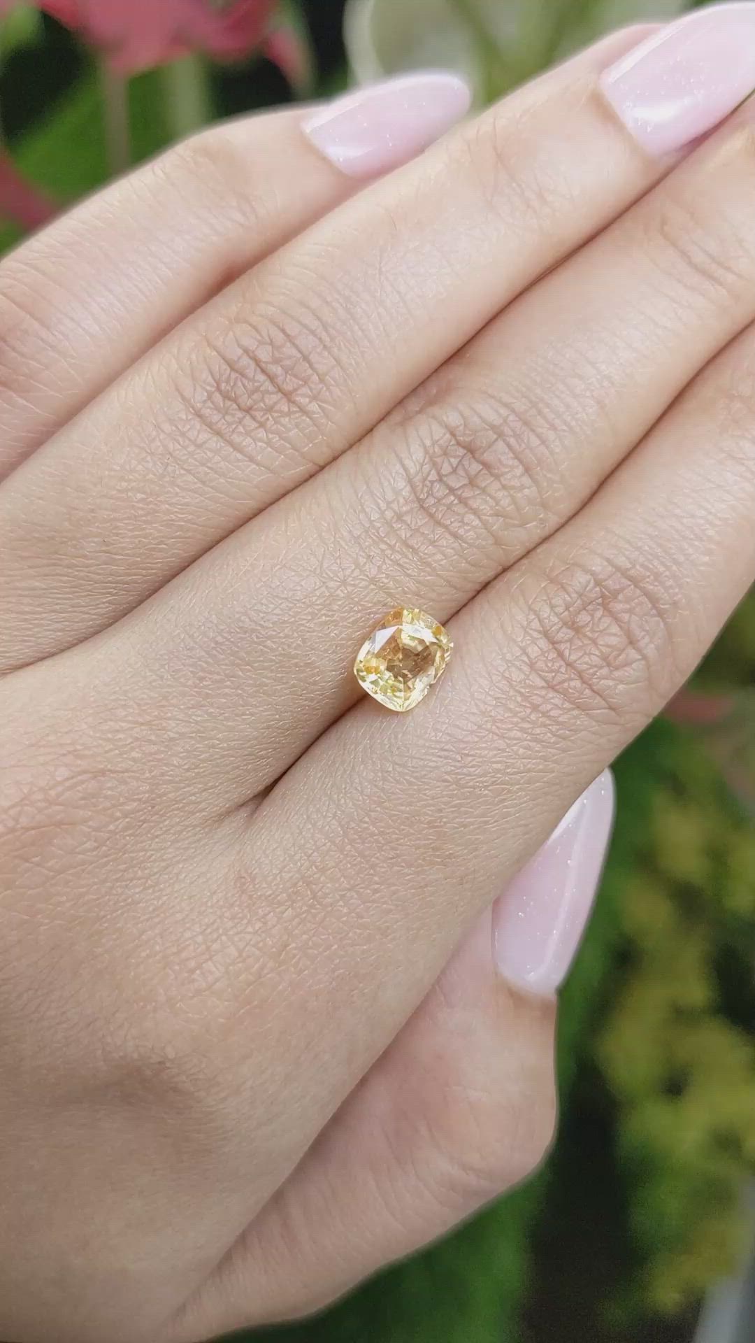 1.60 Ct. Yellowish Orange Sapphire from Ceylon (Sri Lanka) Size Video
