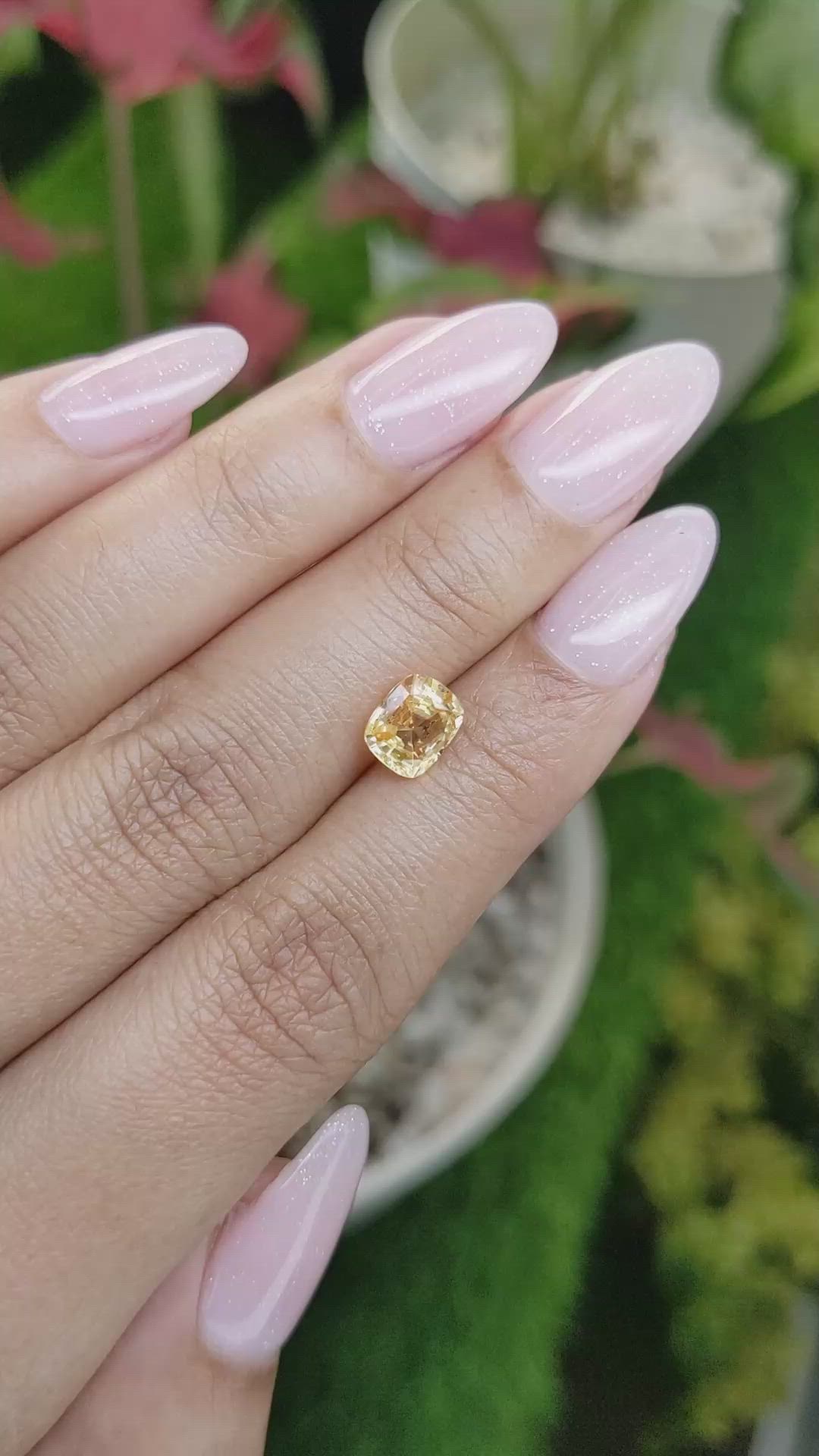 1.60 Ct. Yellowish Orange Sapphire from Ceylon (Sri Lanka) Size Video