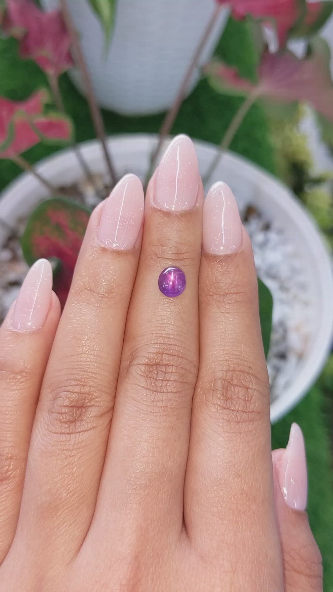 1.54 Ct. Pinkish Purple Star Sapphire from Ceylon (Sri Lanka) Size Video