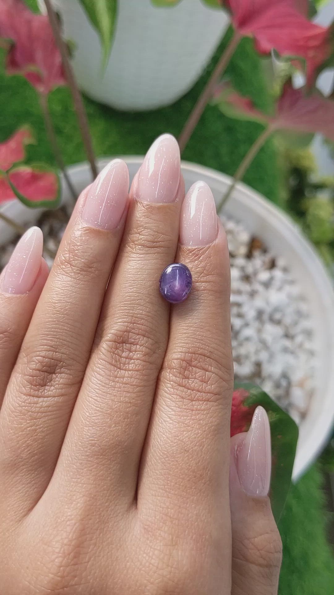 4.15 Ct. Purple Star Sapphire from Ceylon (Sri Lanka) Size Video