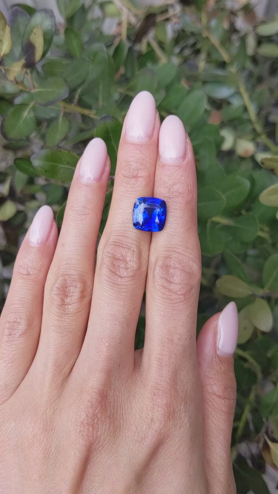 6.64 Ct. Blue Sapphire from Ceylon (Sri Lanka) Size Video