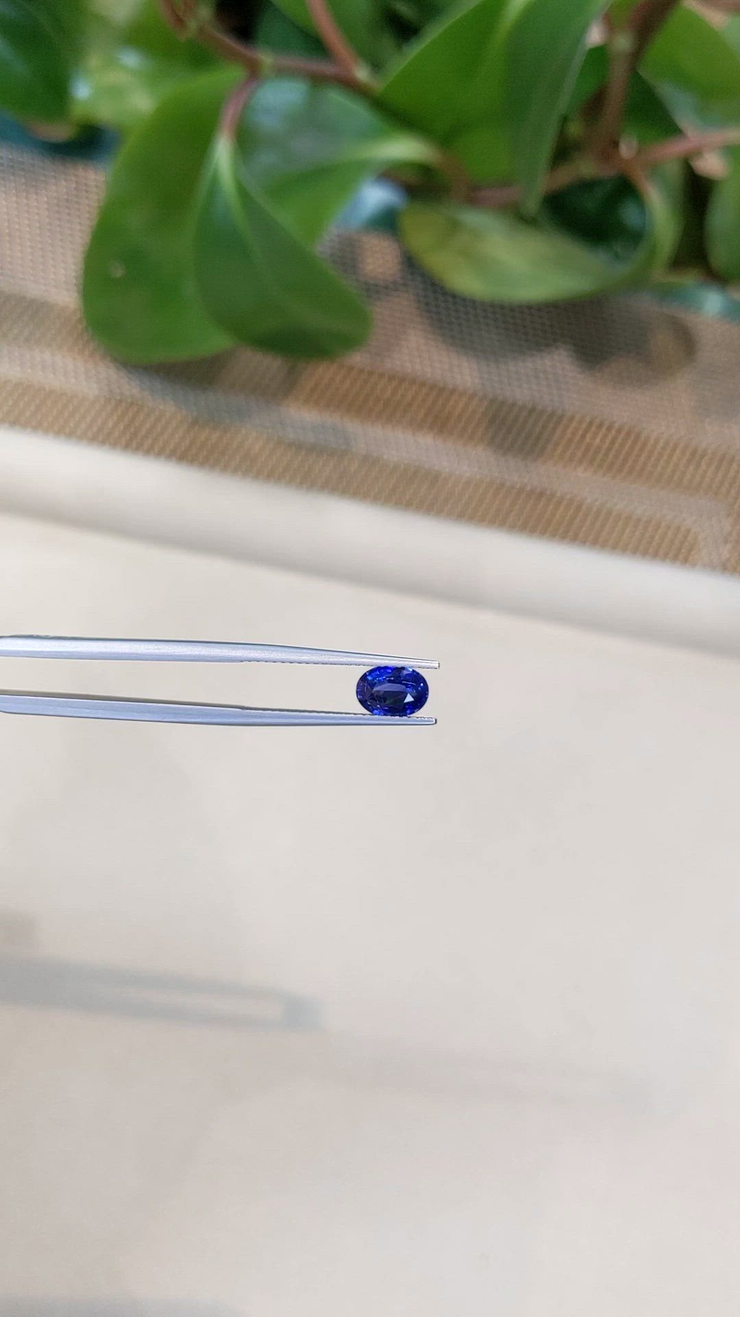 1.40 Ct. Blue Sapphire from Ceylon (Sri Lanka) Size Video