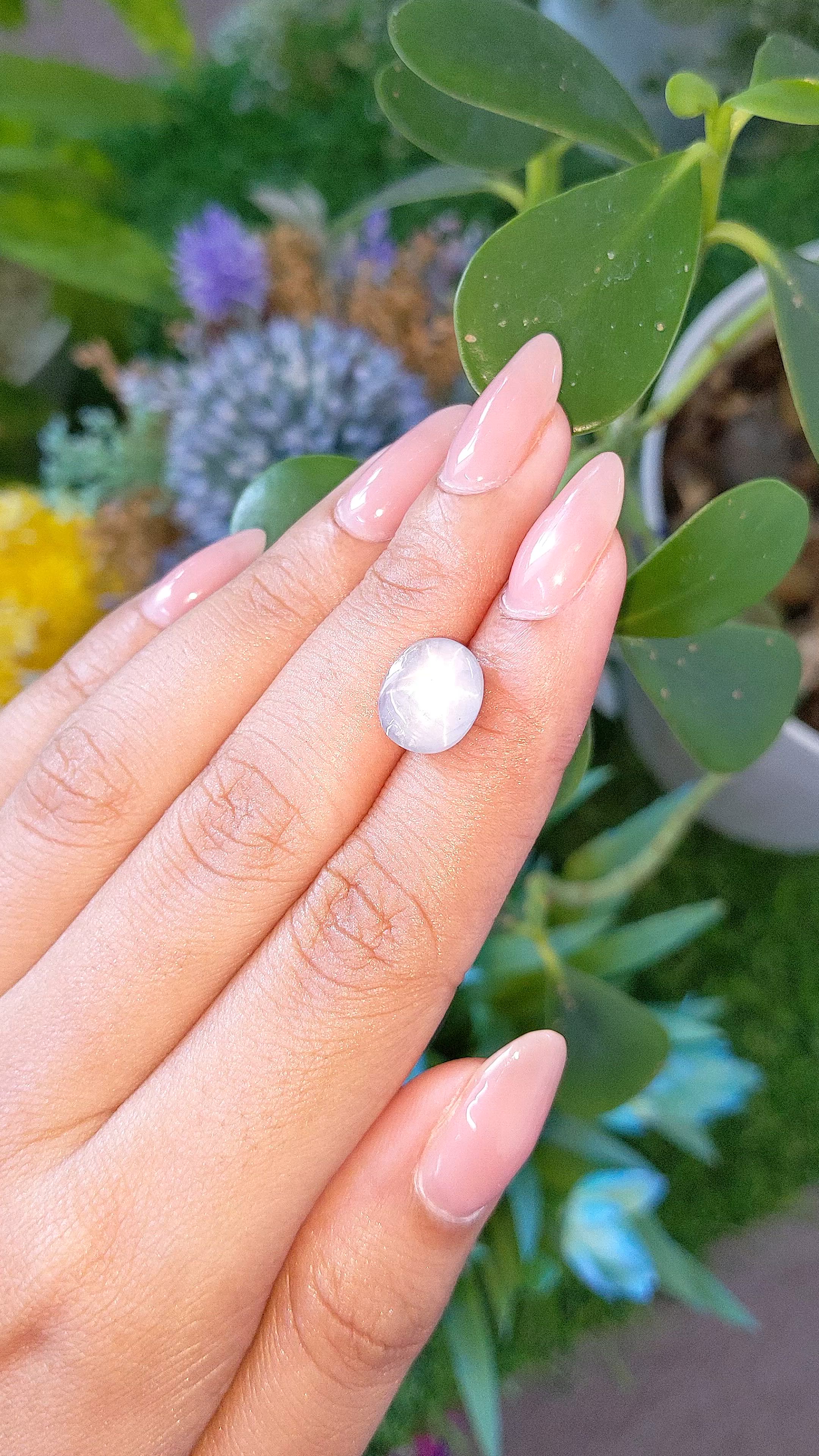 6.91 Ct. Bluish Grey Star Sapphire from Ceylon (Sri Lanka) Size Video
