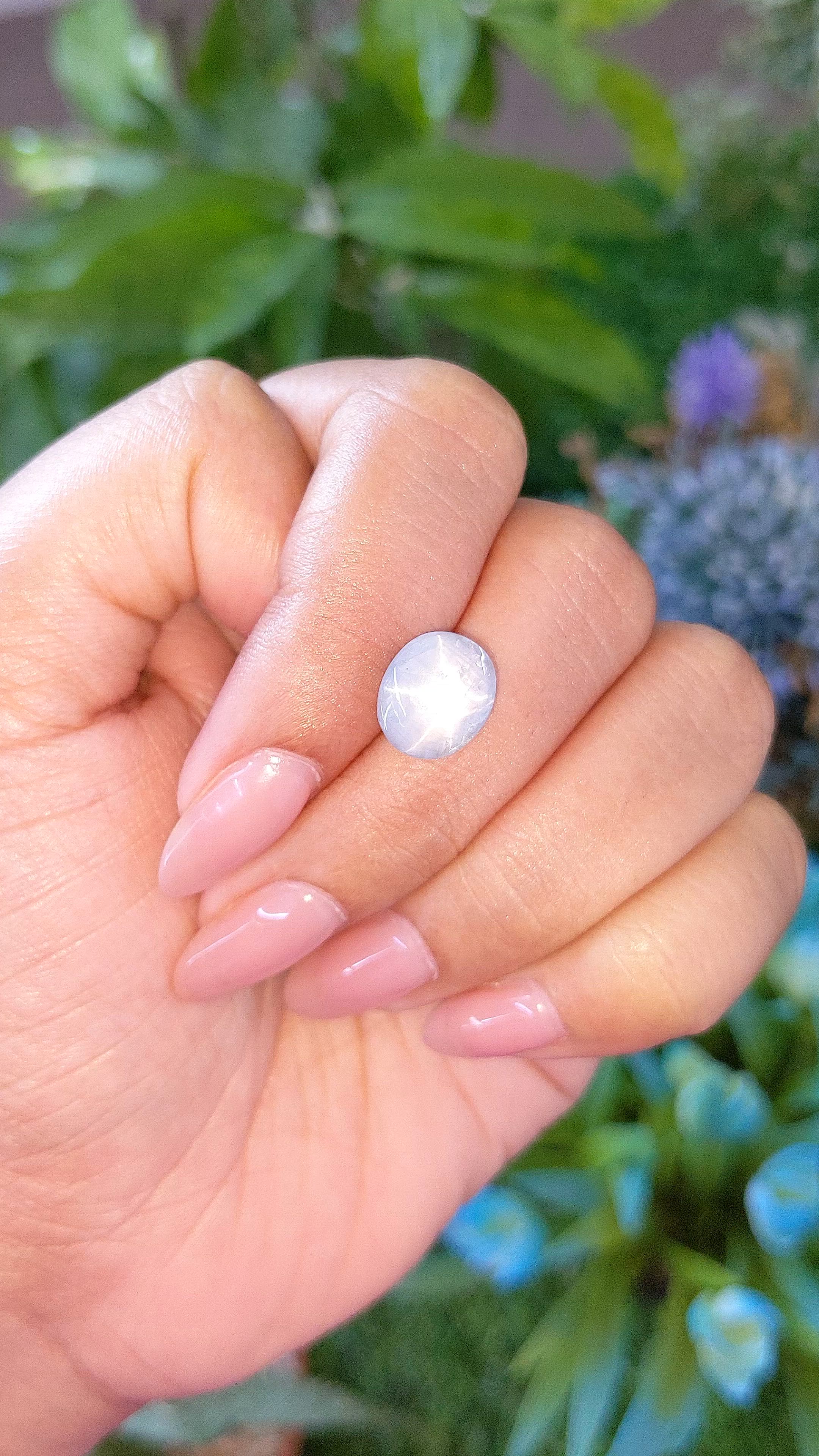 6.91 Ct. Bluish Grey Star Sapphire from Ceylon (Sri Lanka) Size Video
