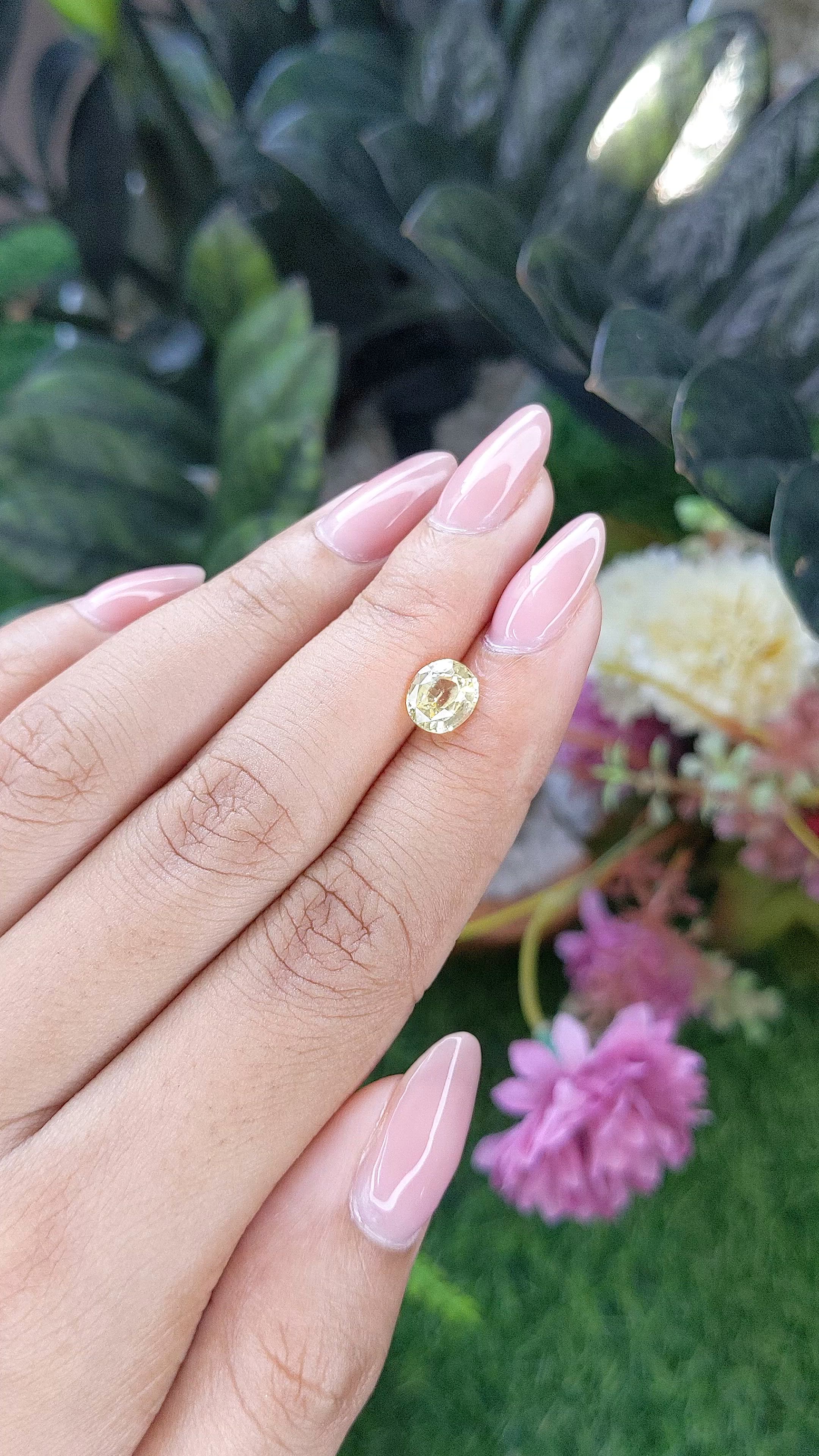 1.72 Ct. Yellow Sapphire from Ceylon (Sri Lanka) Size Video