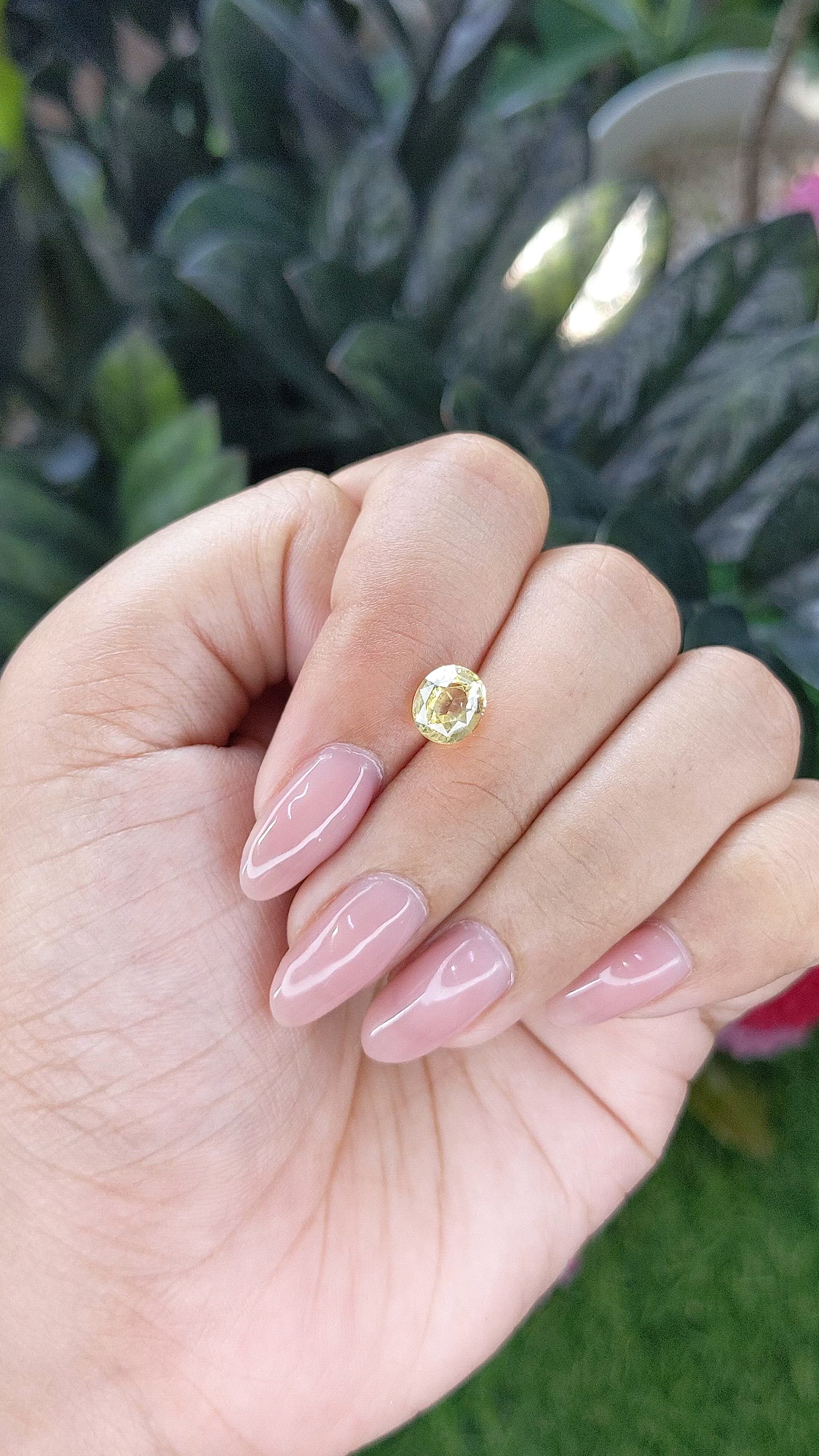 1.72 Ct. Yellow Sapphire from Ceylon (Sri Lanka) Size Video