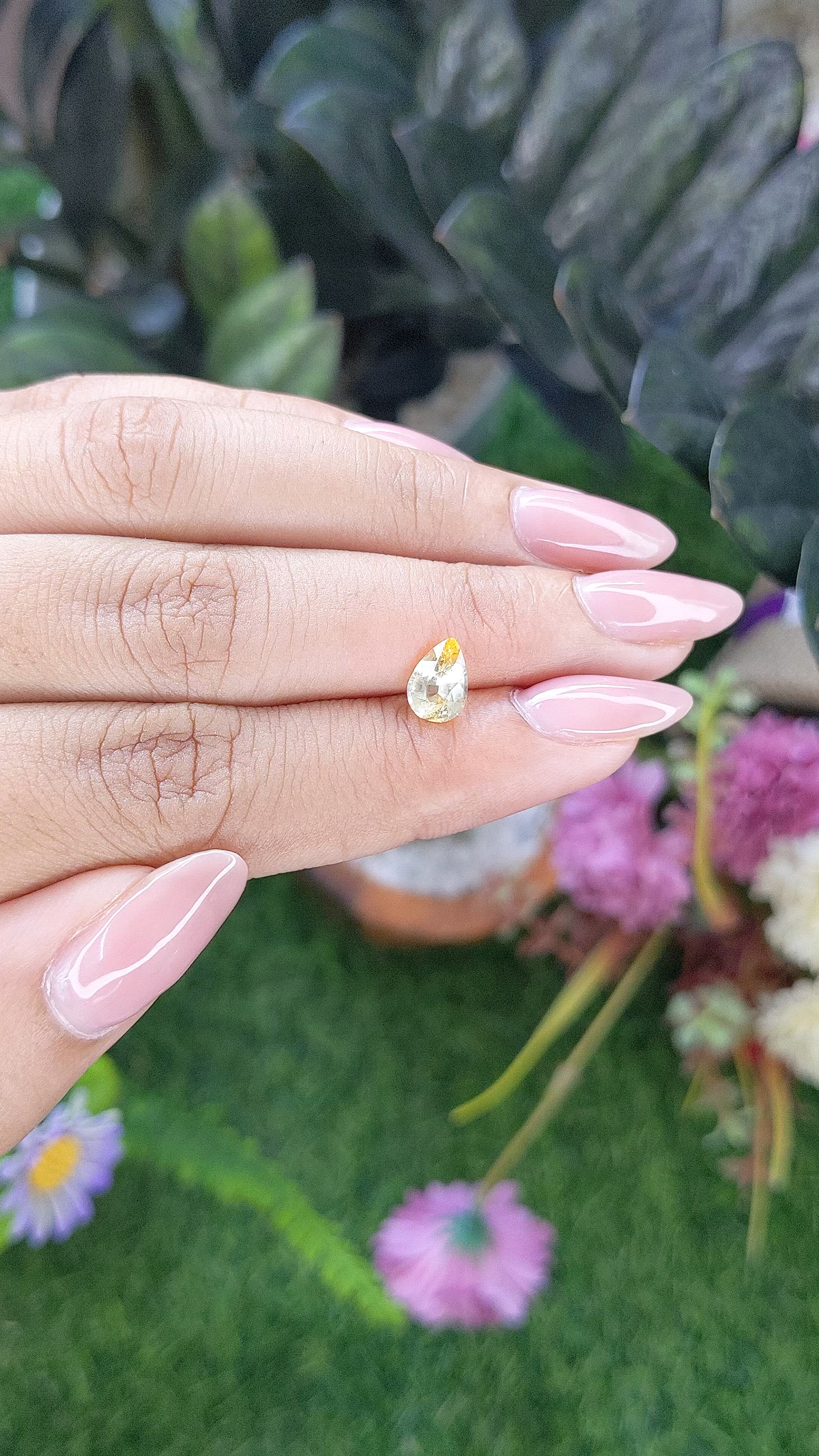 1.16 Ct. Yellow Sapphire from Ceylon (Sri Lanka) Size Video