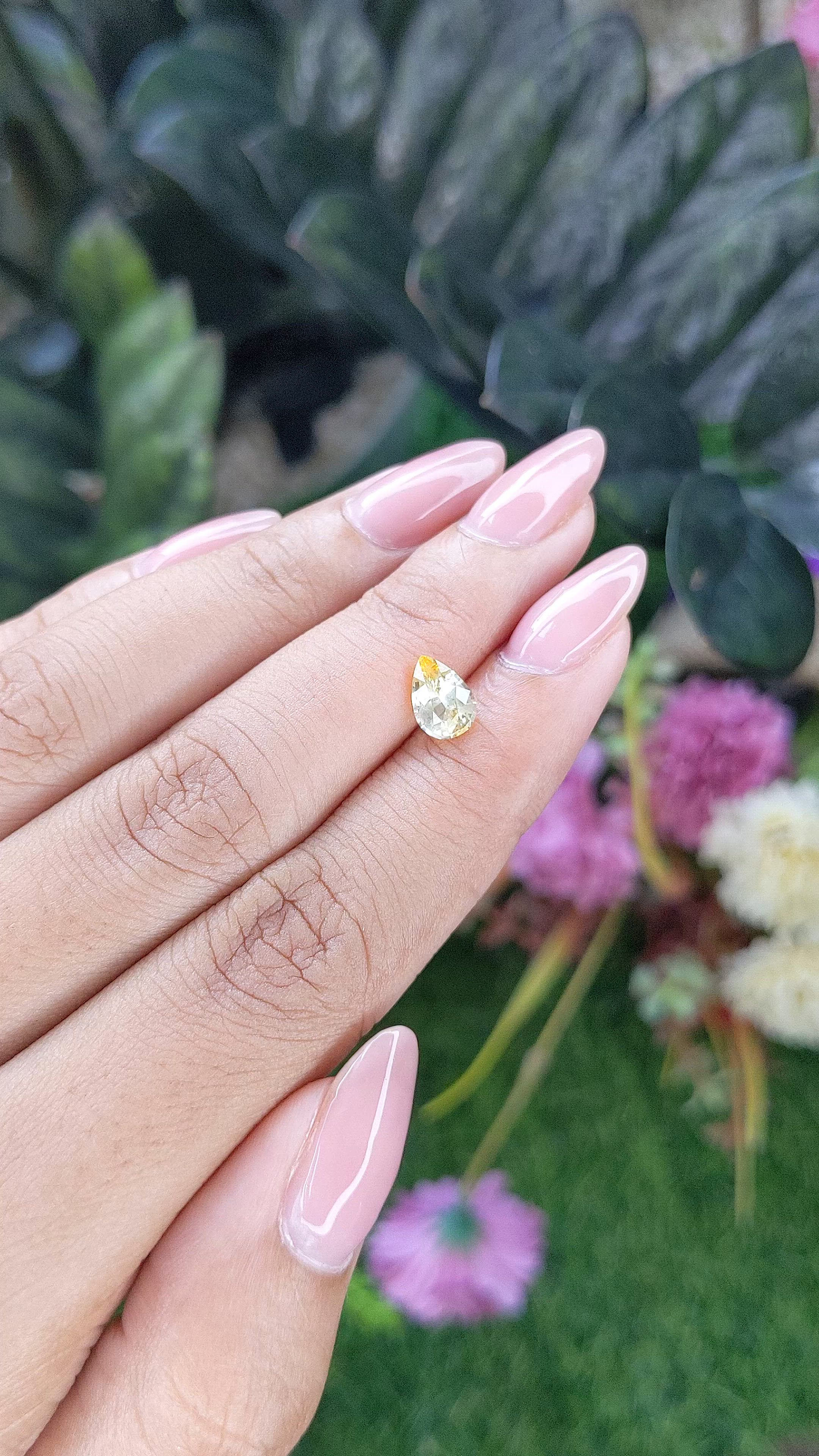 1.16 Ct. Yellow Sapphire from Ceylon (Sri Lanka) Size Video