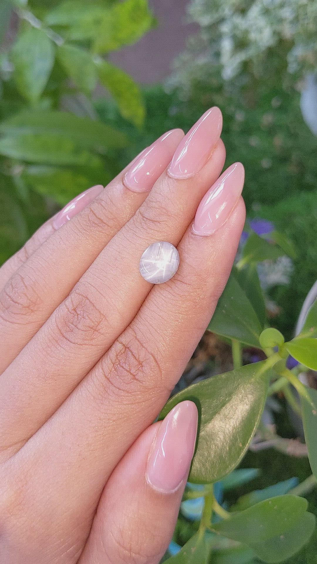 1.97 Ct. Grey Star Sapphire from Ceylon (Sri Lanka) Size Video