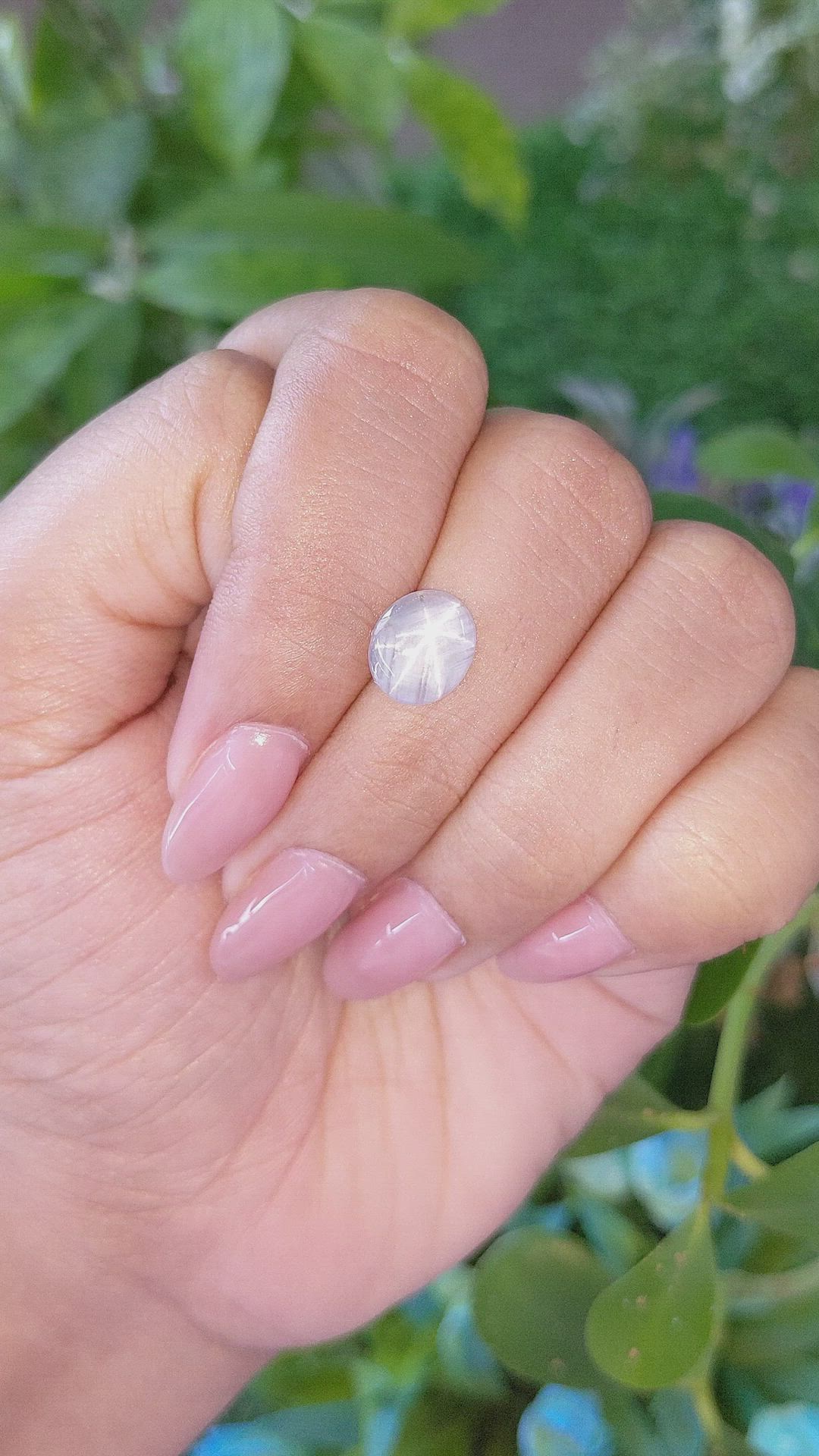 1.97 Ct. Grey Star Sapphire from Ceylon (Sri Lanka) Size Video