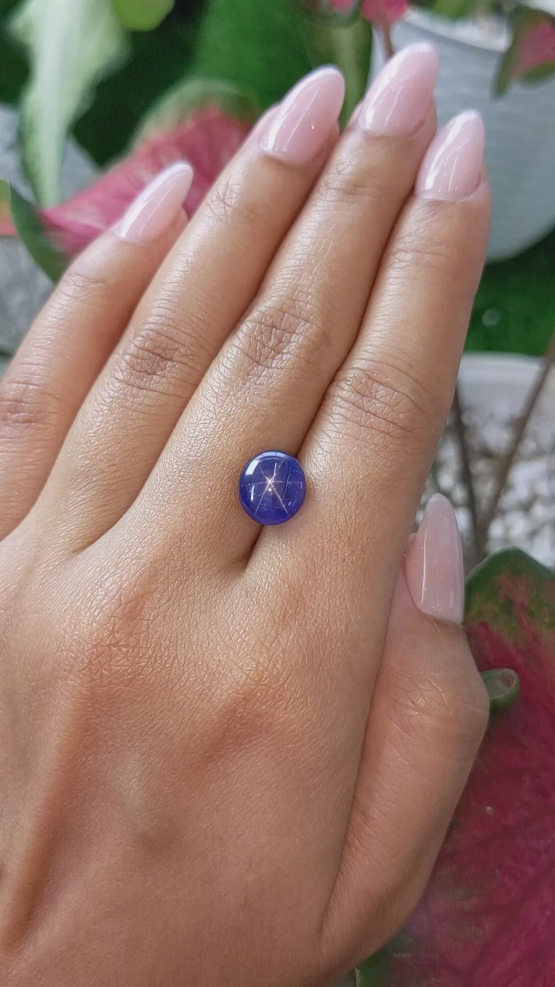 7.13 Ct. Blue Star Sapphire from Ceylon (Sri Lanka) Size Video