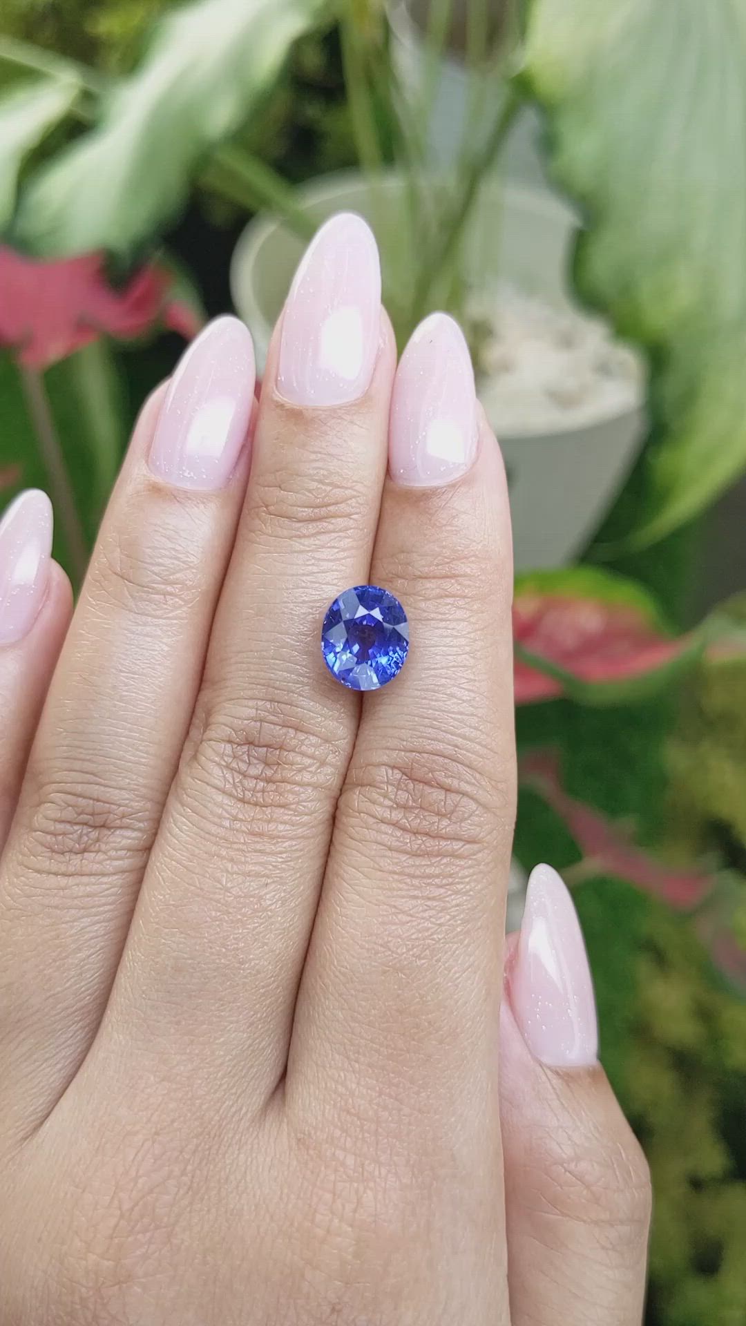 5.64 Ct. Blue Sapphire from Ceylon (Sri Lanka) Size Video