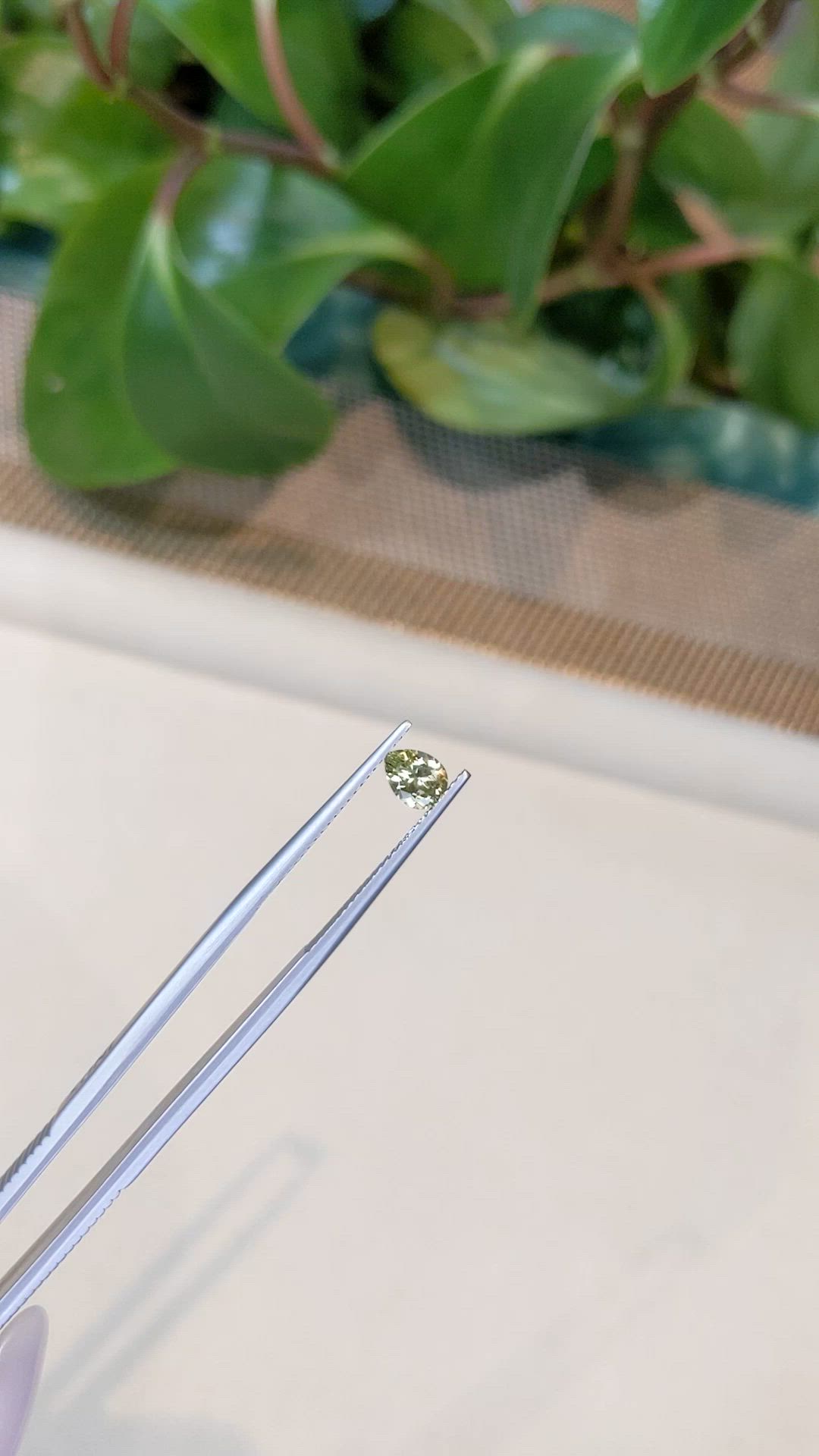 0.64 Ct. Greenish Yellow Sapphire from Montana Size Video