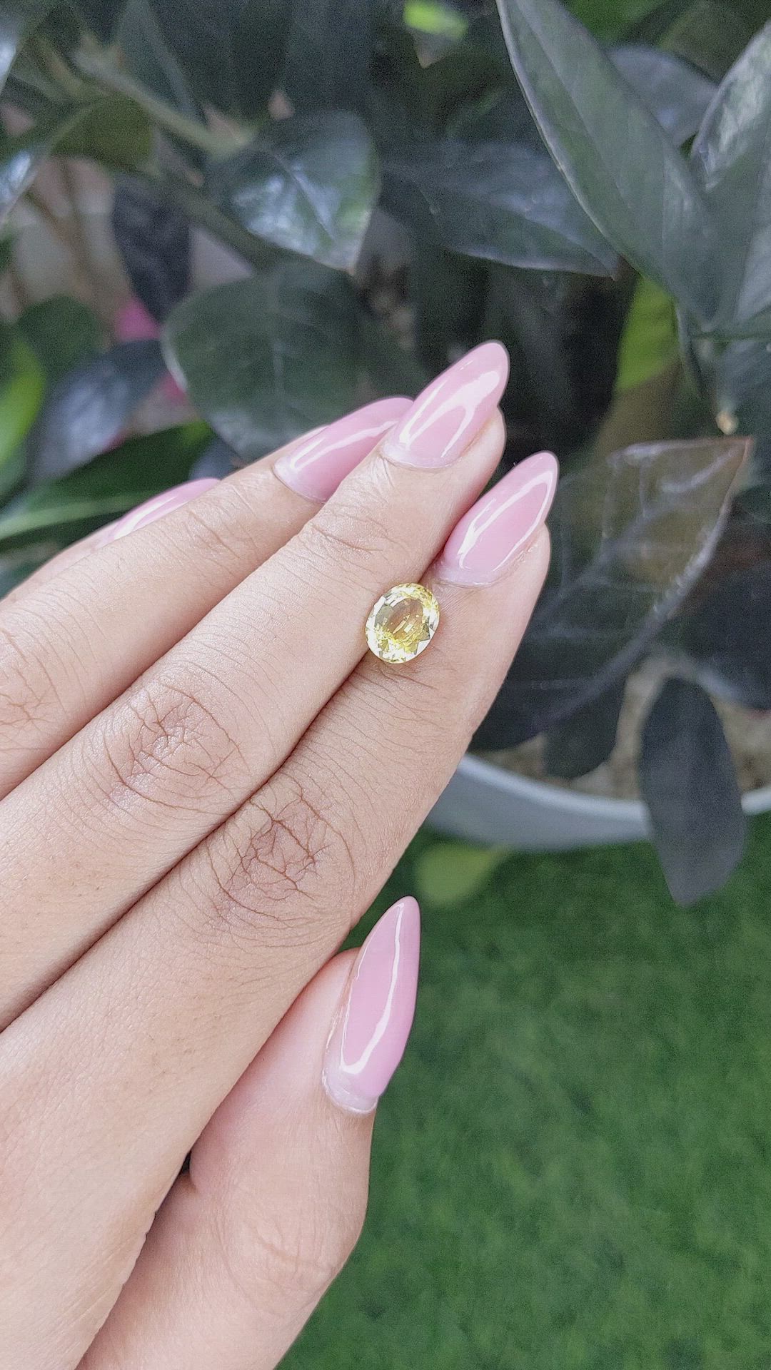 1.66 Ct. Yellow Sapphire from Ceylon (Sri Lanka) Size Video