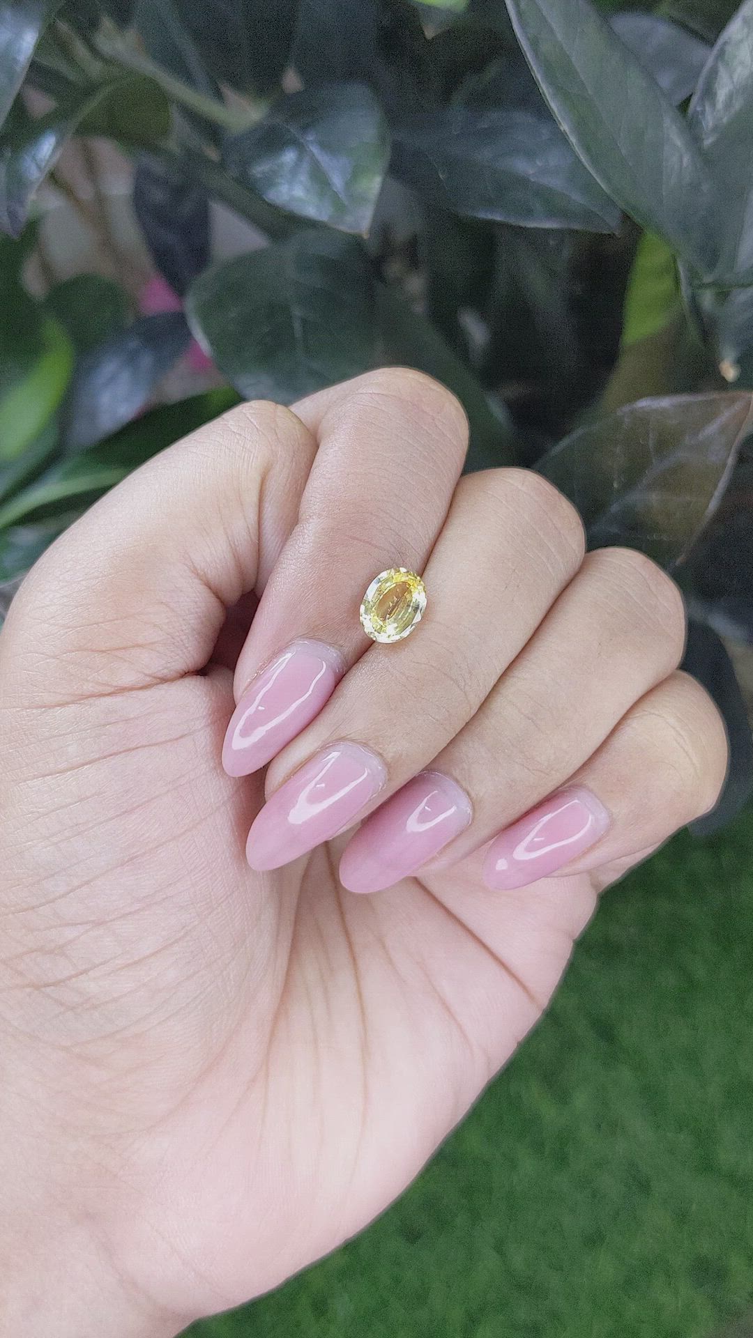 1.66 Ct. Yellow Sapphire from Ceylon (Sri Lanka) Size Video