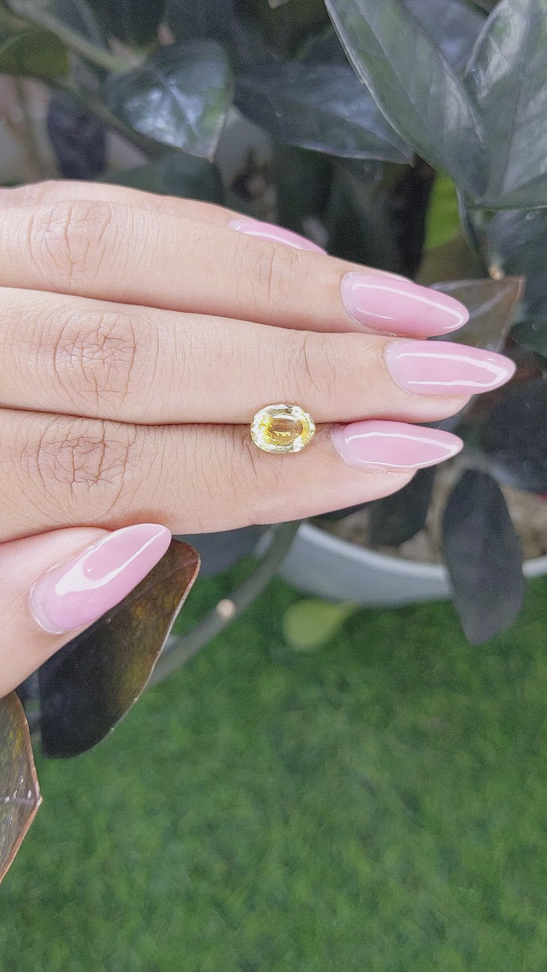 1.66 Ct. Yellow Sapphire from Ceylon (Sri Lanka) Size Video