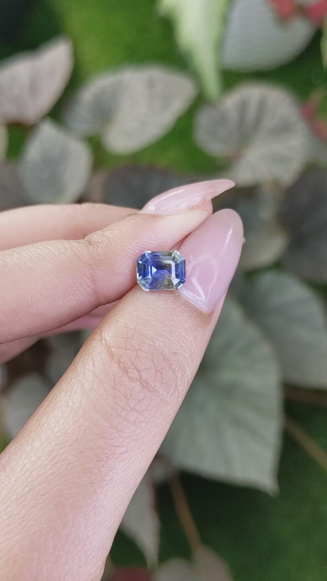 1.90 Ct. Bi Color Sapphire from Ceylon (Sri Lanka) Size Video