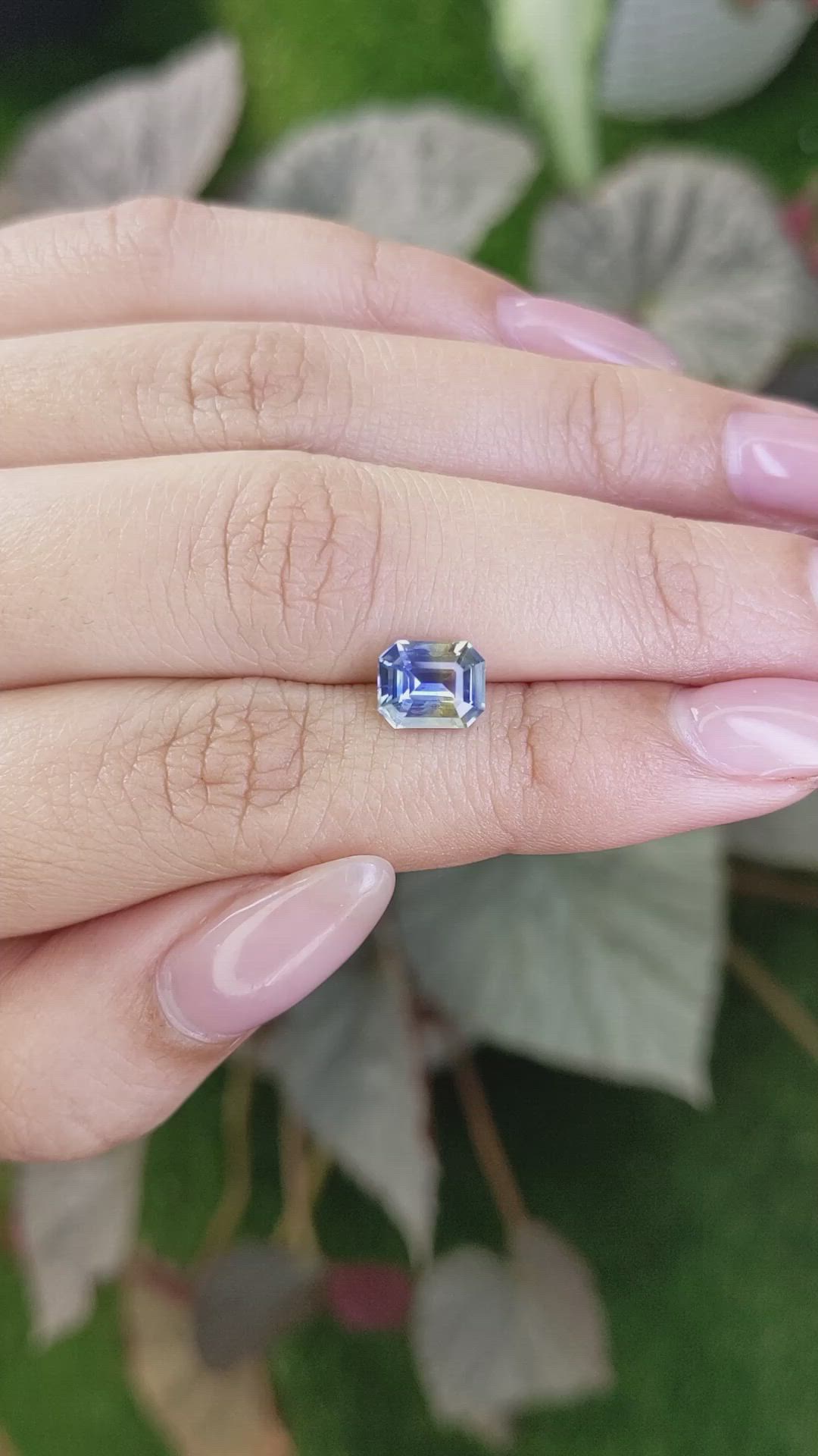 1.90 Ct. Bi Color Sapphire from Ceylon (Sri Lanka) Size Video