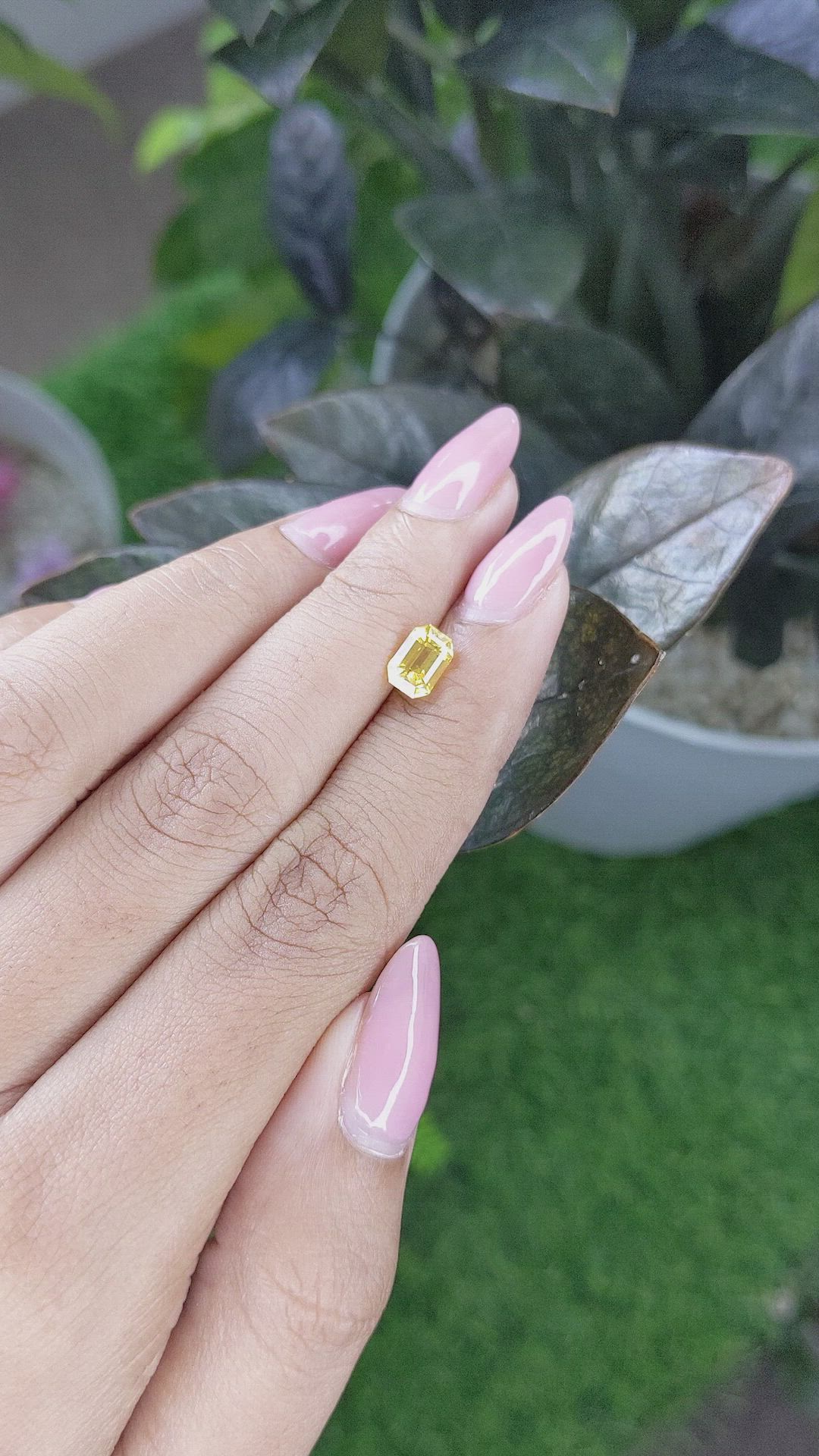 1.31 Ct. Yellow Sapphire from Ceylon (Sri Lanka) Size Video