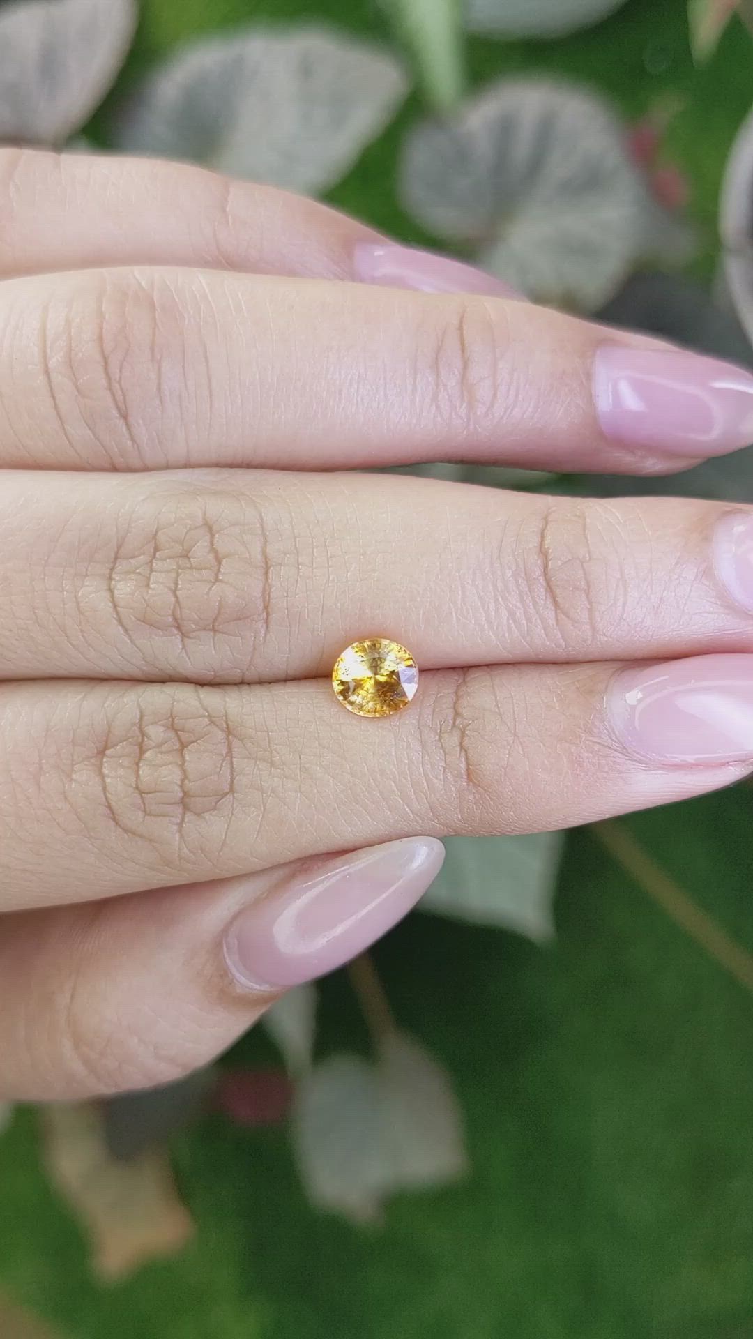 1.19 Ct. Yellowish Orange Sapphire from Ceylon (Sri Lanka) Size Video