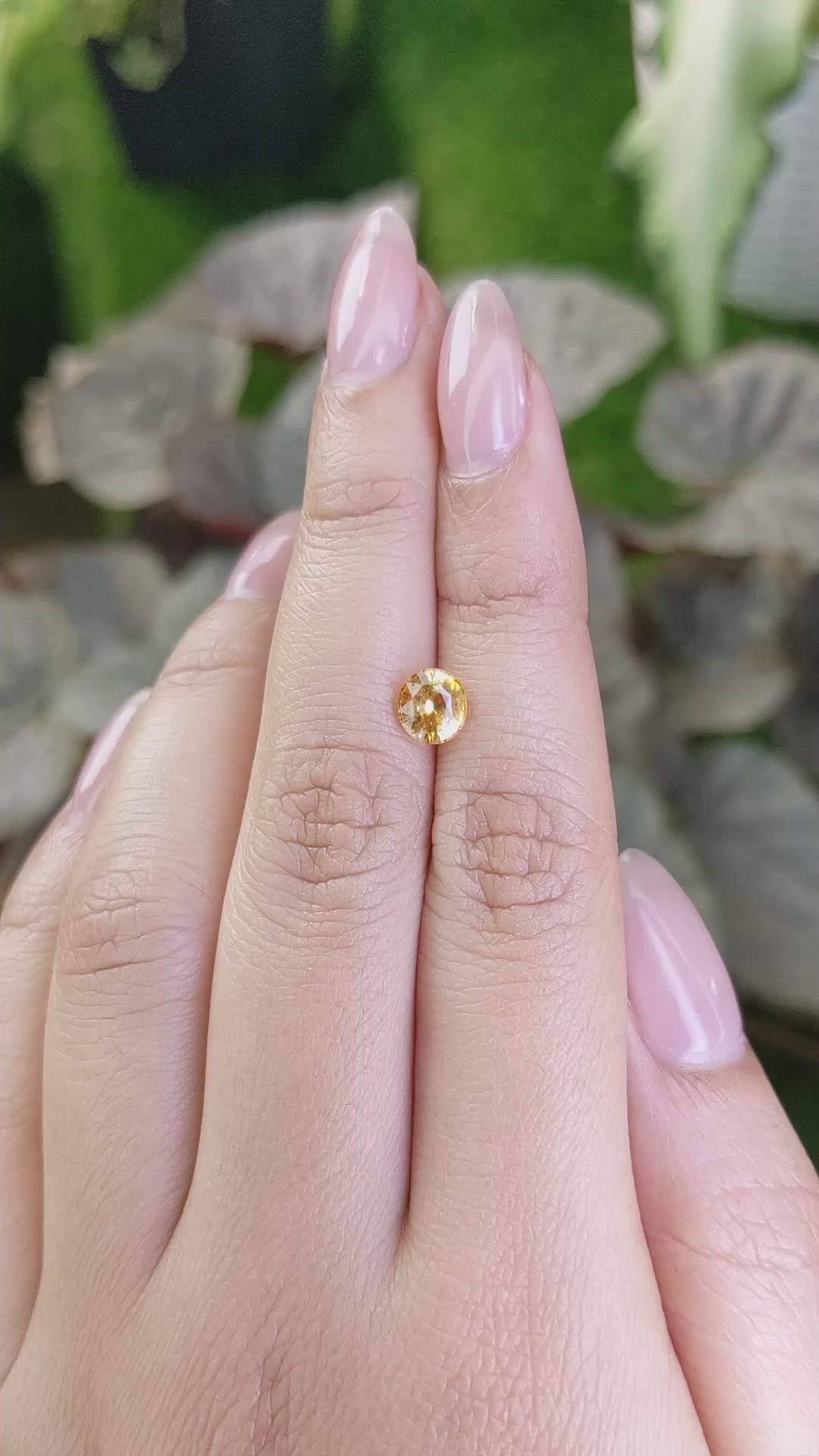 1.19 Ct. Yellowish Orange Sapphire from Ceylon (Sri Lanka) Size Video