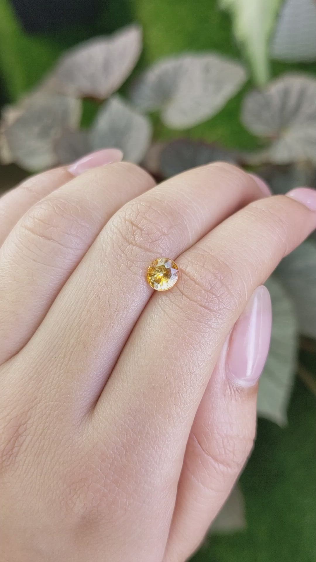 1.19 Ct. Yellowish Orange Sapphire from Ceylon (Sri Lanka) Size Video