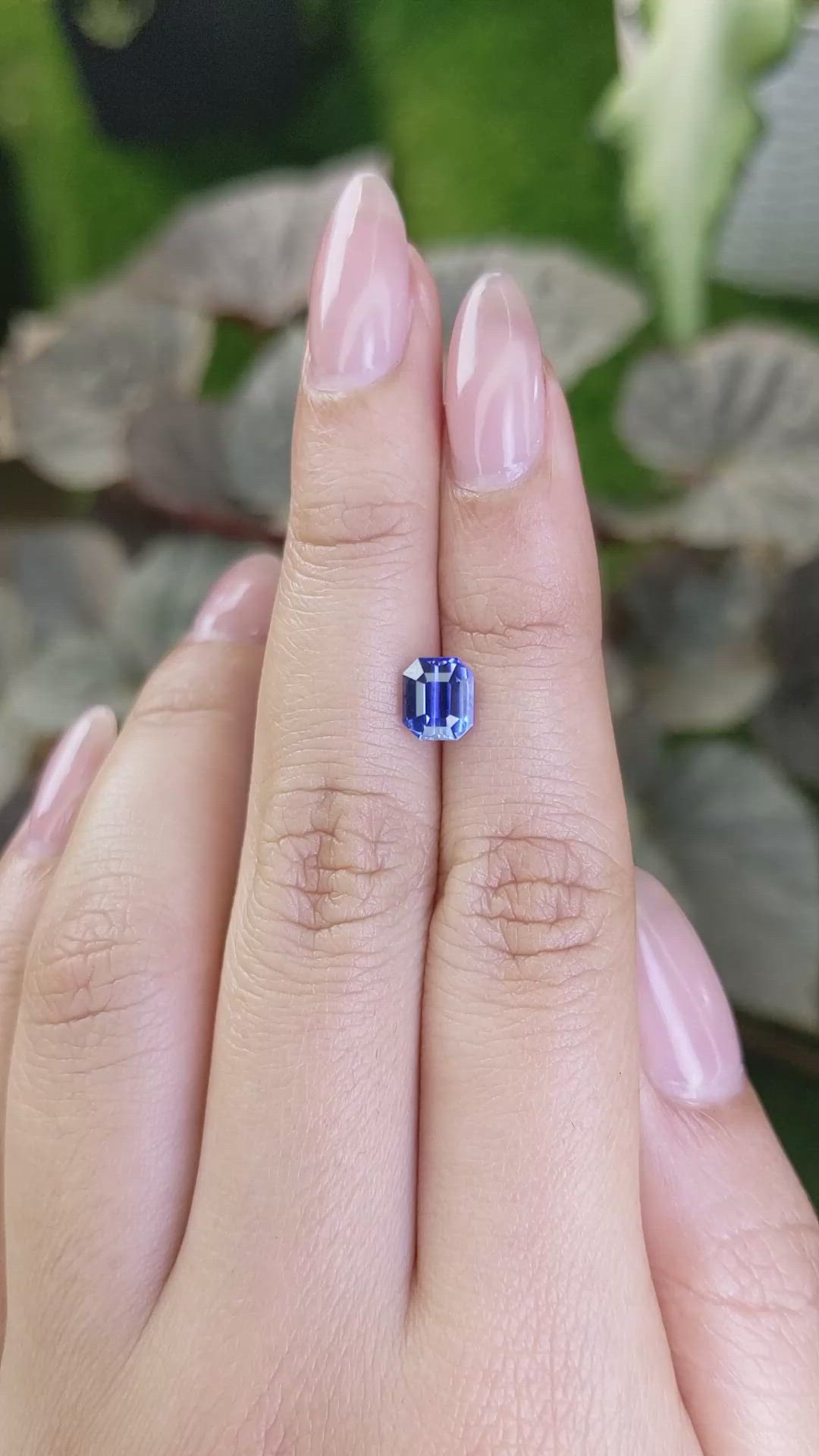 1.58 Ct. Blue Sapphire from Ceylon (Sri Lanka) Size Video