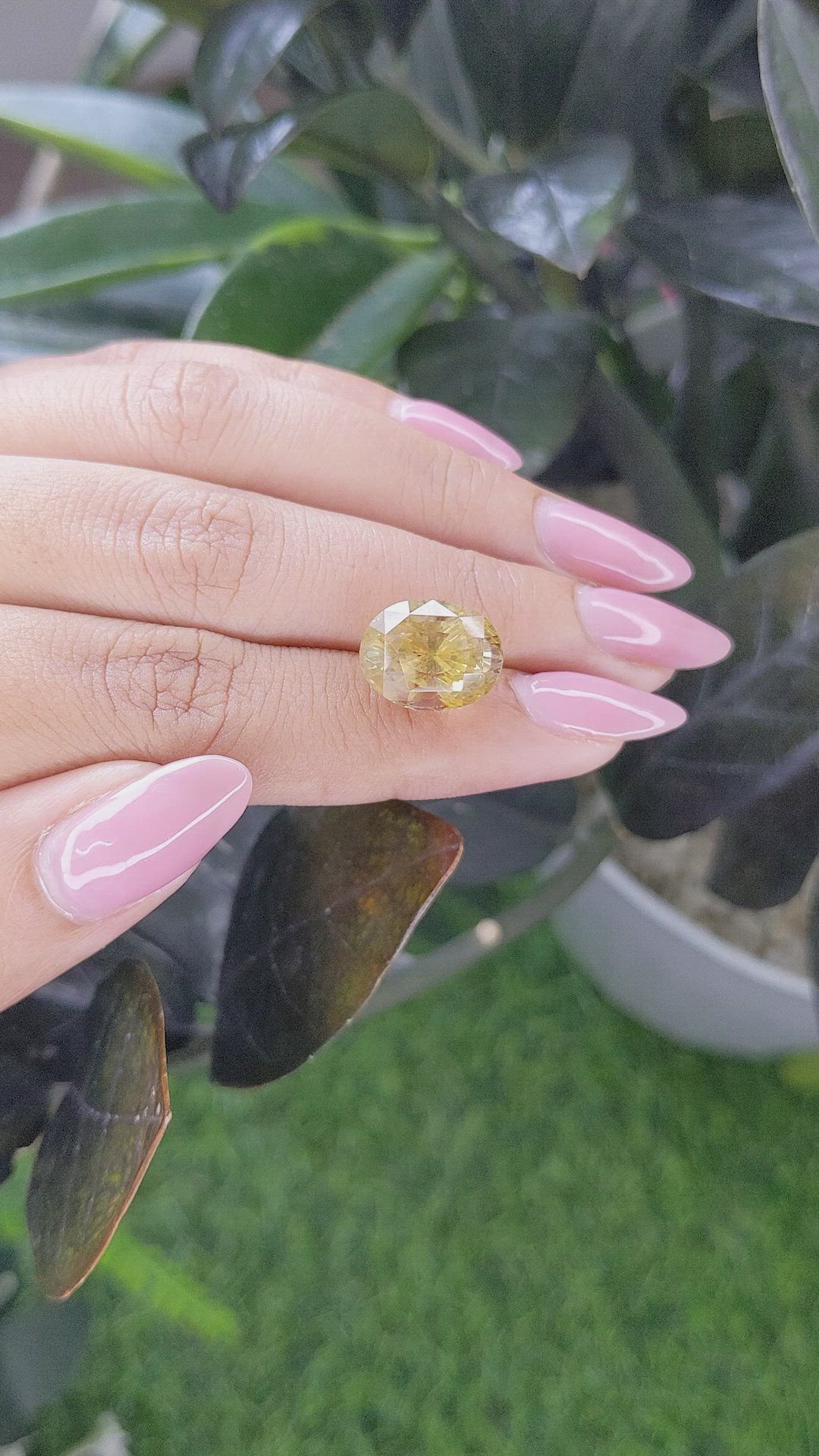 11.16 Ct. Yellow Sapphire from Ceylon (Sri Lanka) Size Video