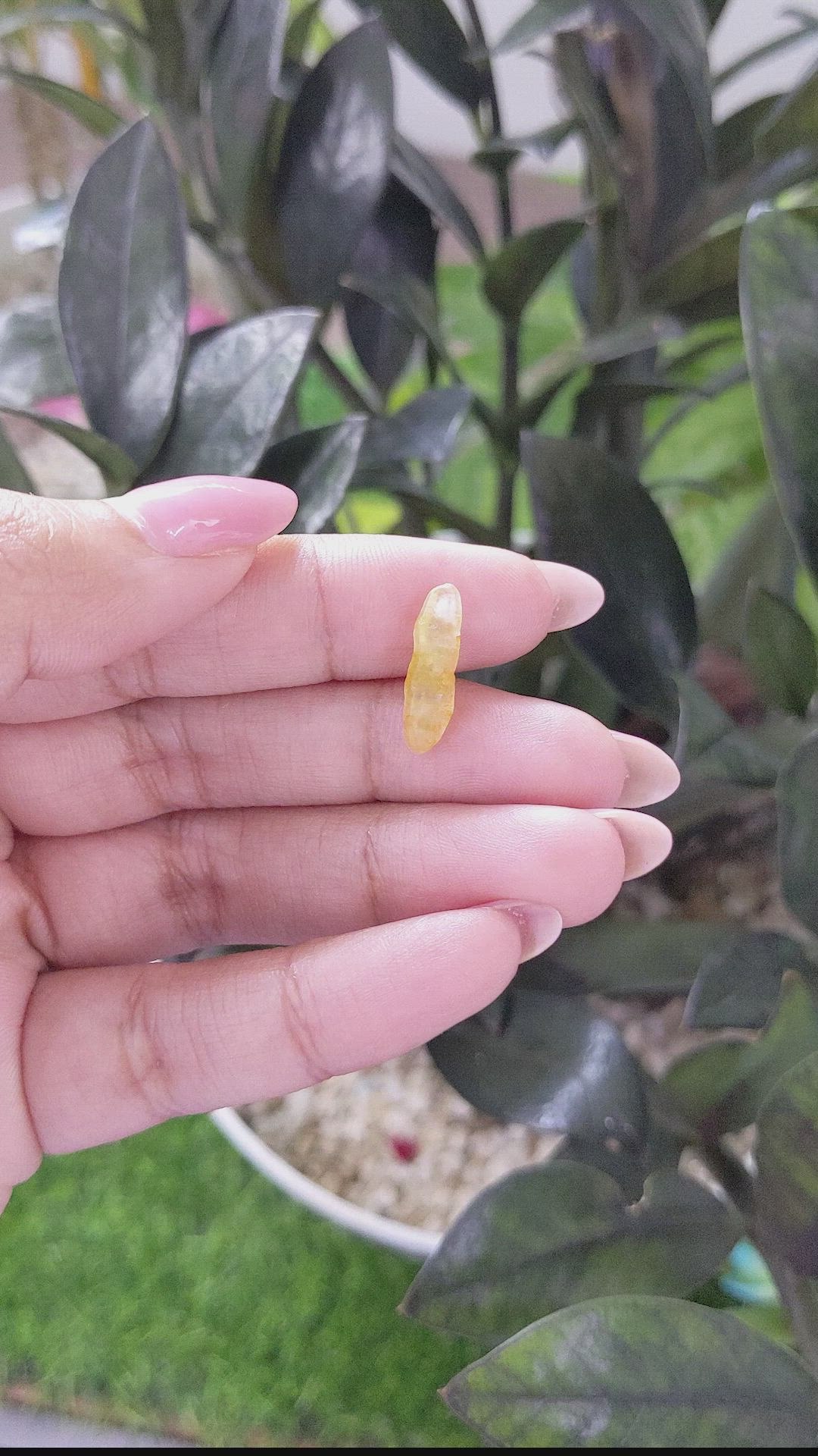 3.37 Ct. Yellow Rough Sapphire from Ceylon (Sri Lanka) Size Video