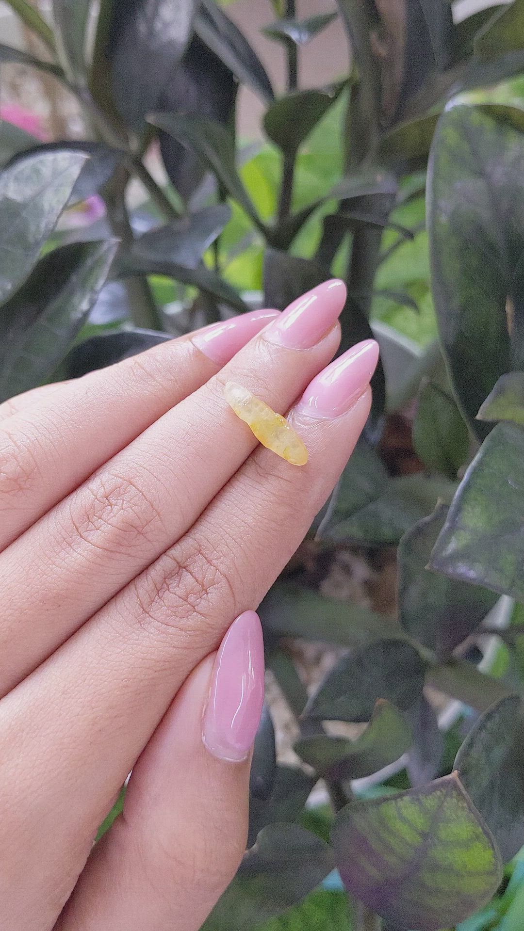 3.37 Ct. Yellow Rough Sapphire from Ceylon (Sri Lanka) Size Video
