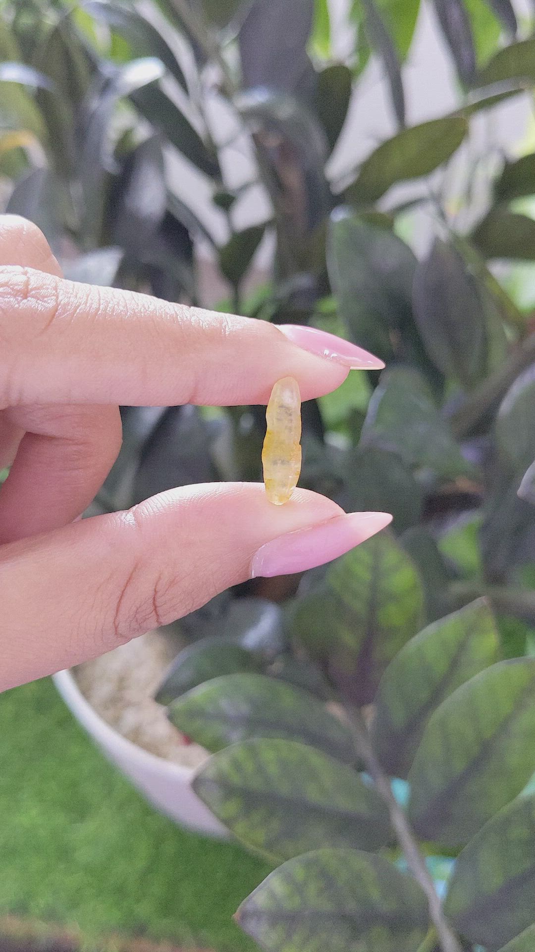 3.37 Ct. Yellow Rough Sapphire from Ceylon (Sri Lanka) Size Video
