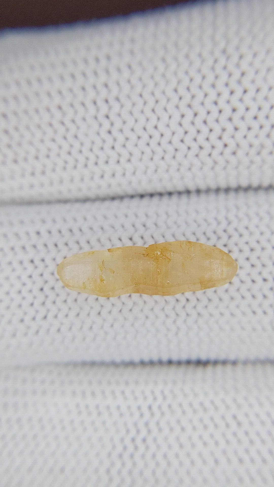 3.37 Ct. Yellow Rough Sapphire from Ceylon (Sri Lanka) Size Video
