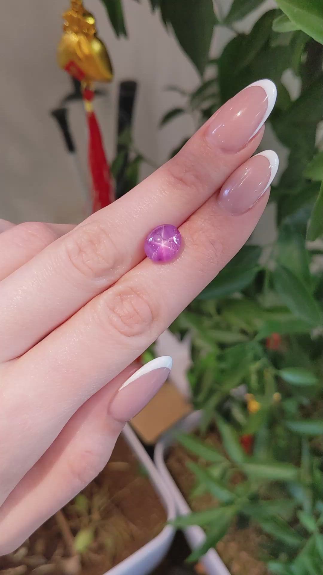 5.64 Ct. Pink Star Sapphire from Ceylon (Sri Lanka) Size Video