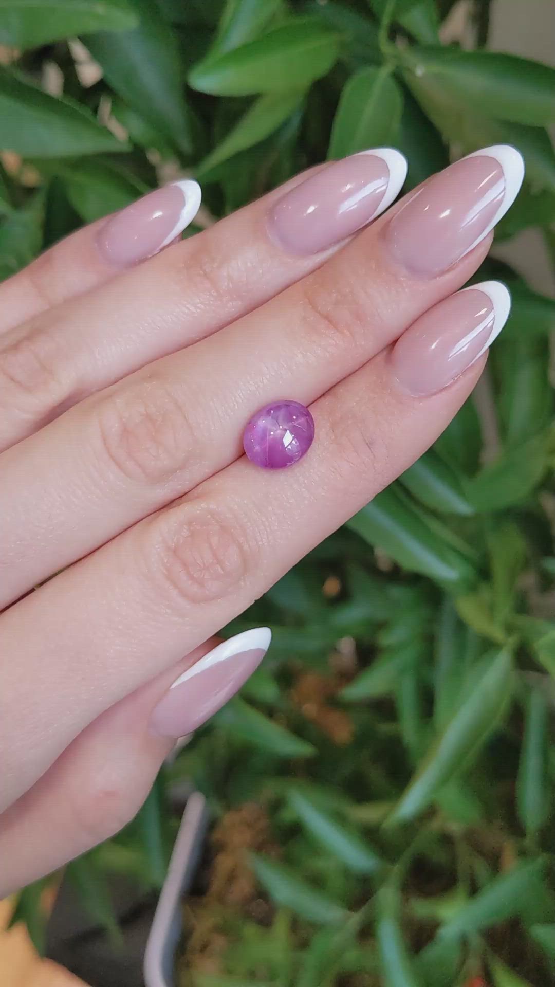 5.64 Ct. Pink Star Sapphire from Ceylon (Sri Lanka) Size Video