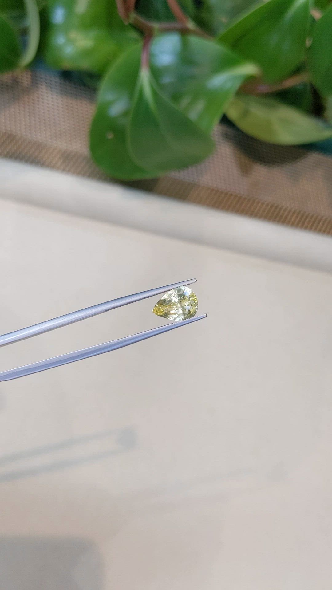 3.39 Ct. Yellow Sapphire from Ceylon (Sri Lanka) Size Video