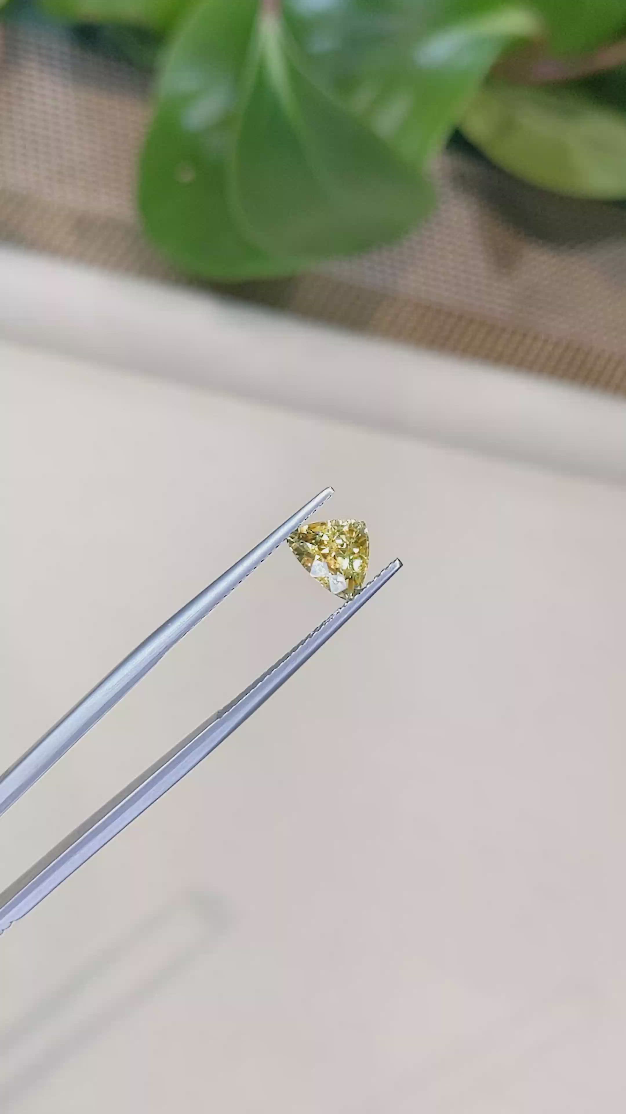 1.79 Ct. Yellow Sapphire from Ceylon (Sri Lanka) Size Video