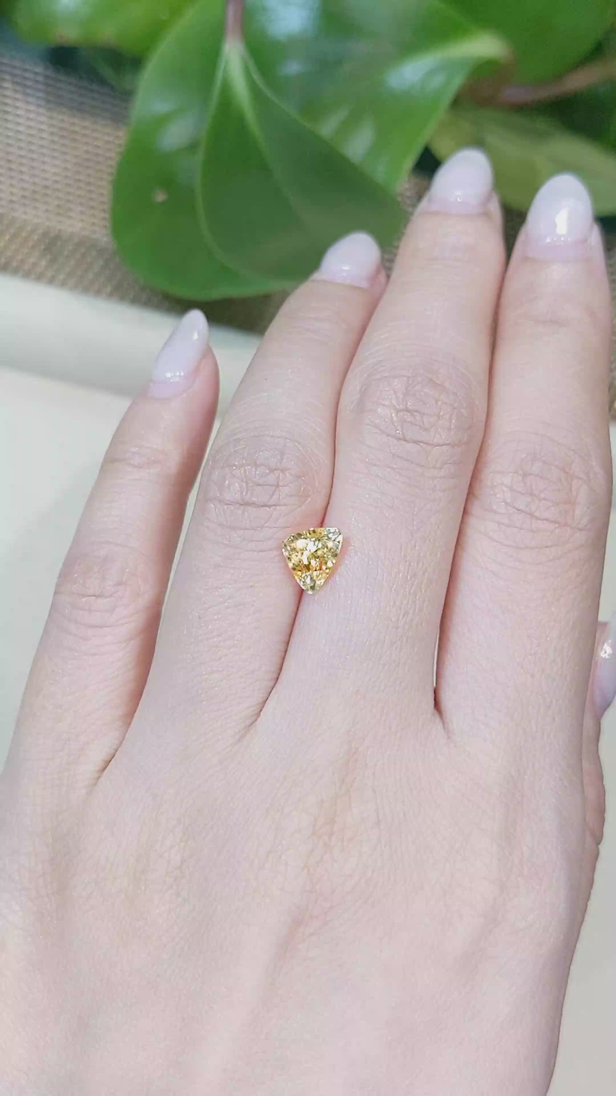 1.79 Ct. Yellow Sapphire from Ceylon (Sri Lanka) Size Video