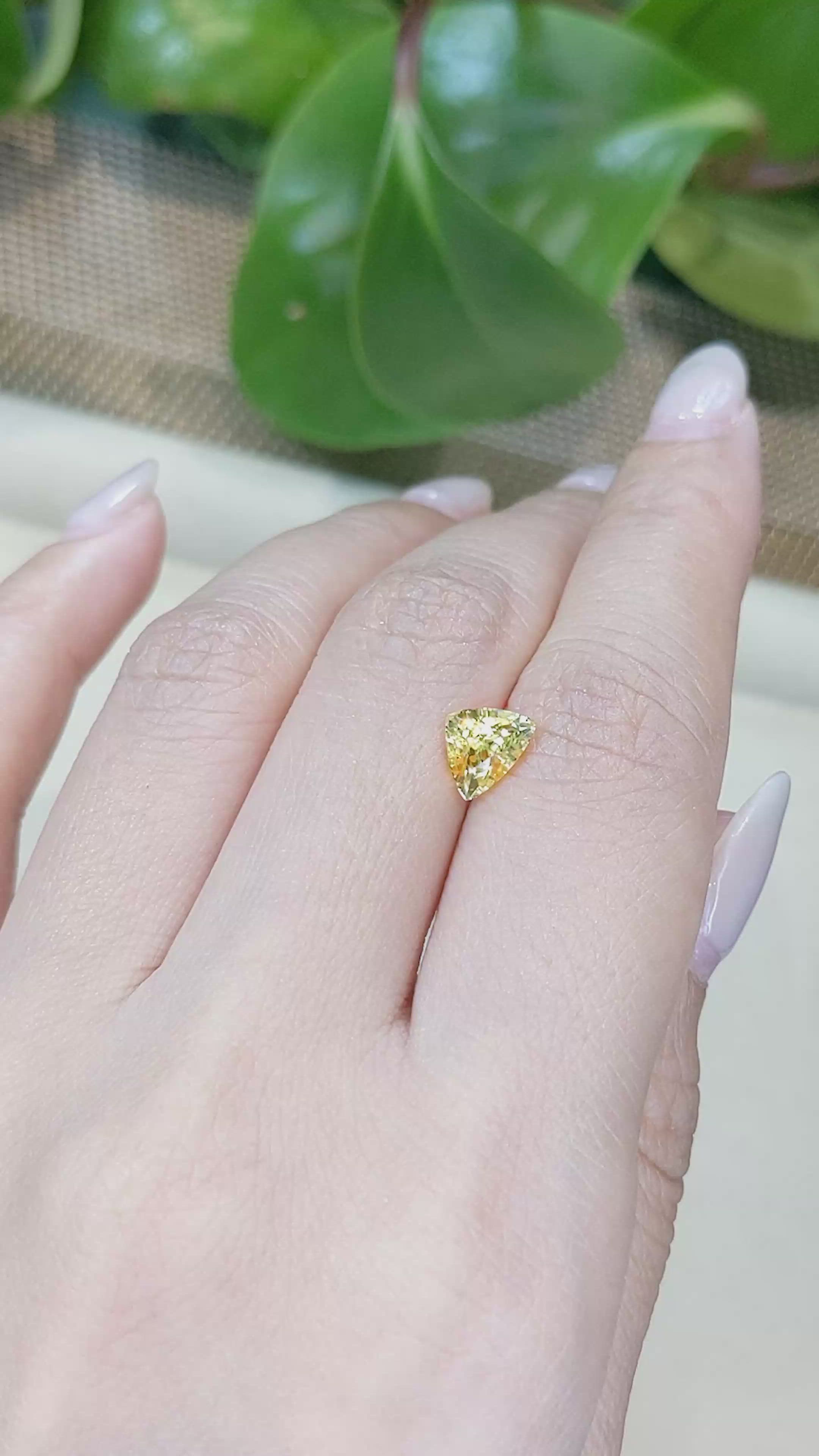 1.79 Ct. Yellow Sapphire from Ceylon (Sri Lanka) Size Video