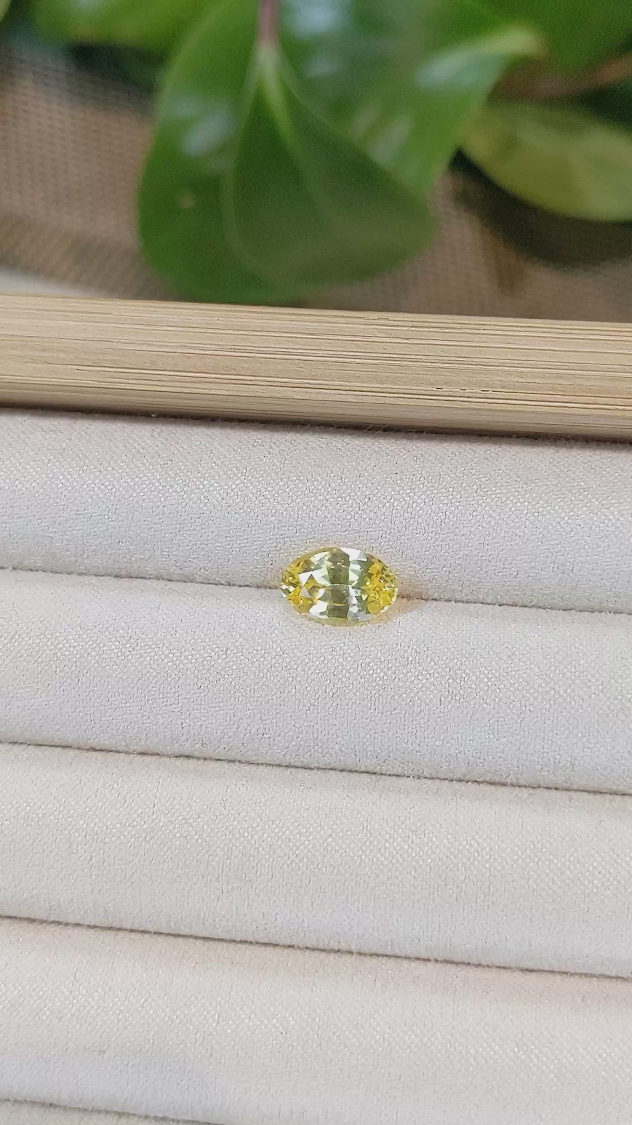 2.68 Ct. Yellow Sapphire from Ceylon (Sri Lanka) Size Video