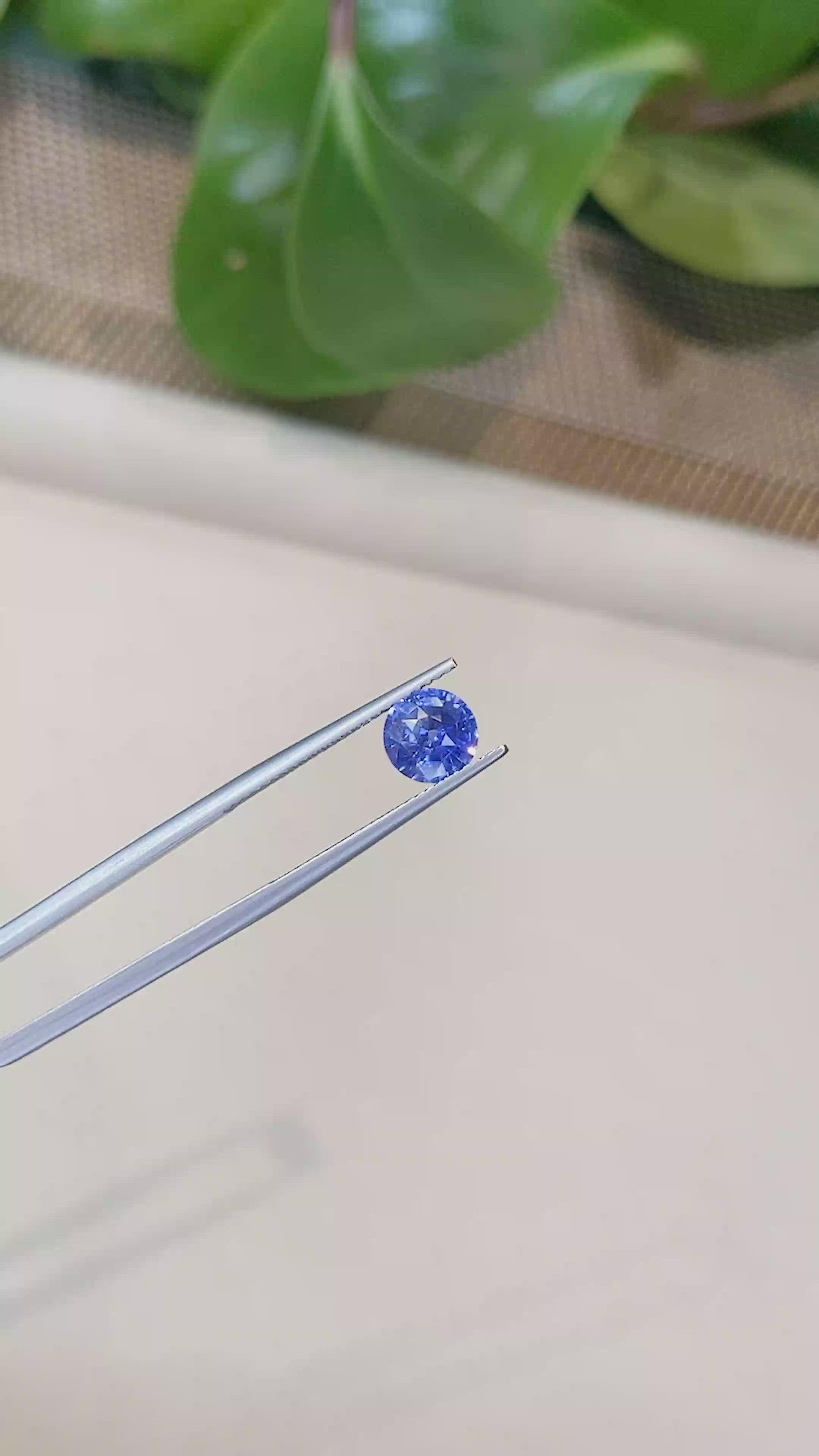 1.55 Ct. Blue Sapphire from Ceylon (Sri Lanka) Size Video