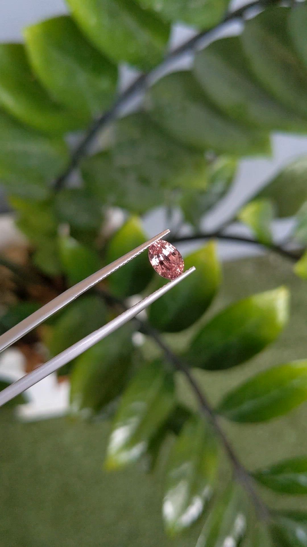 1.45 Ct. Padparadscha Sapphire from Ceylon (Sri Lanka) Size Video