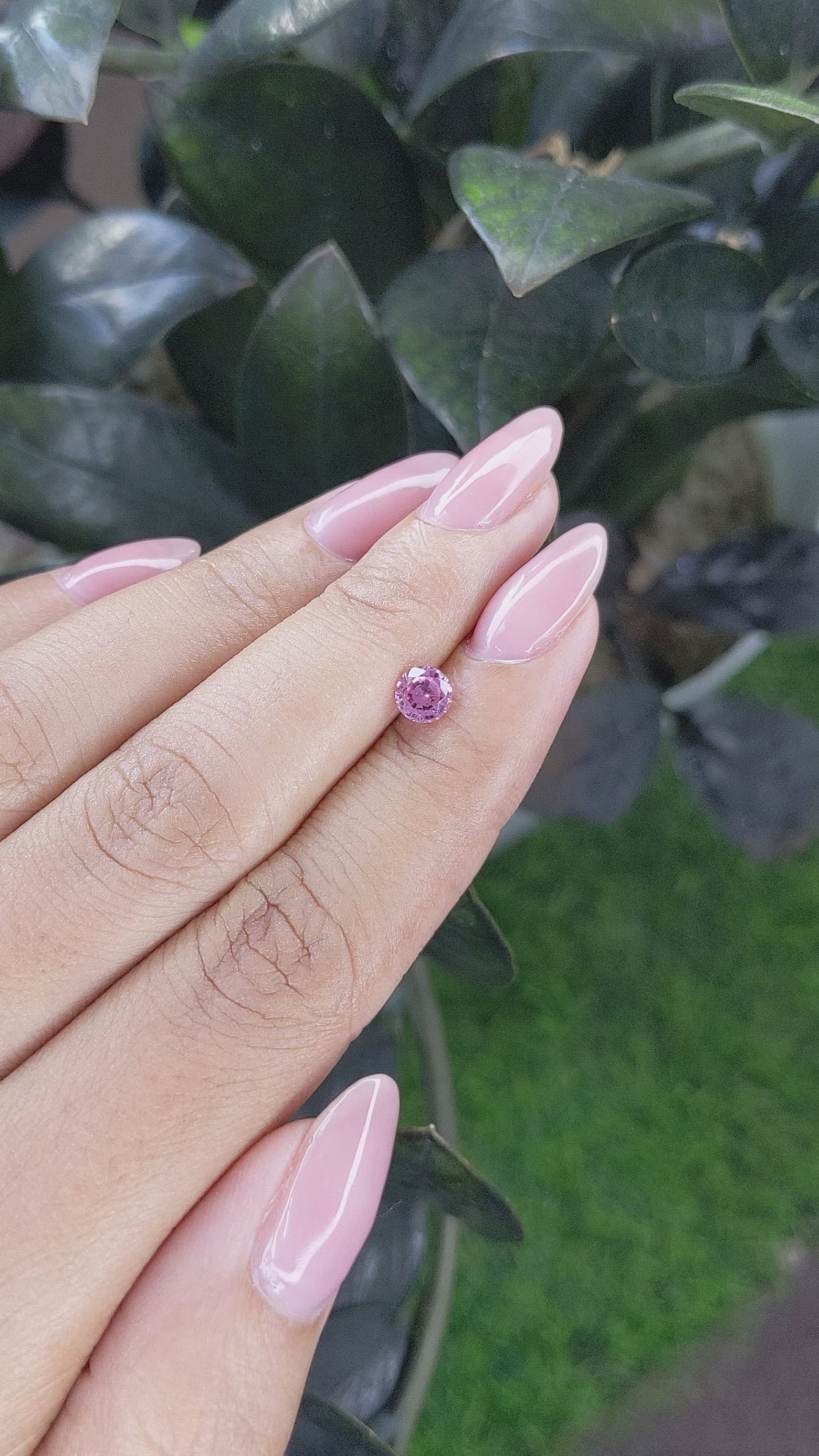 0.60 Ct. Pink Sapphire from Ceylon (Sri Lanka) Size Video
